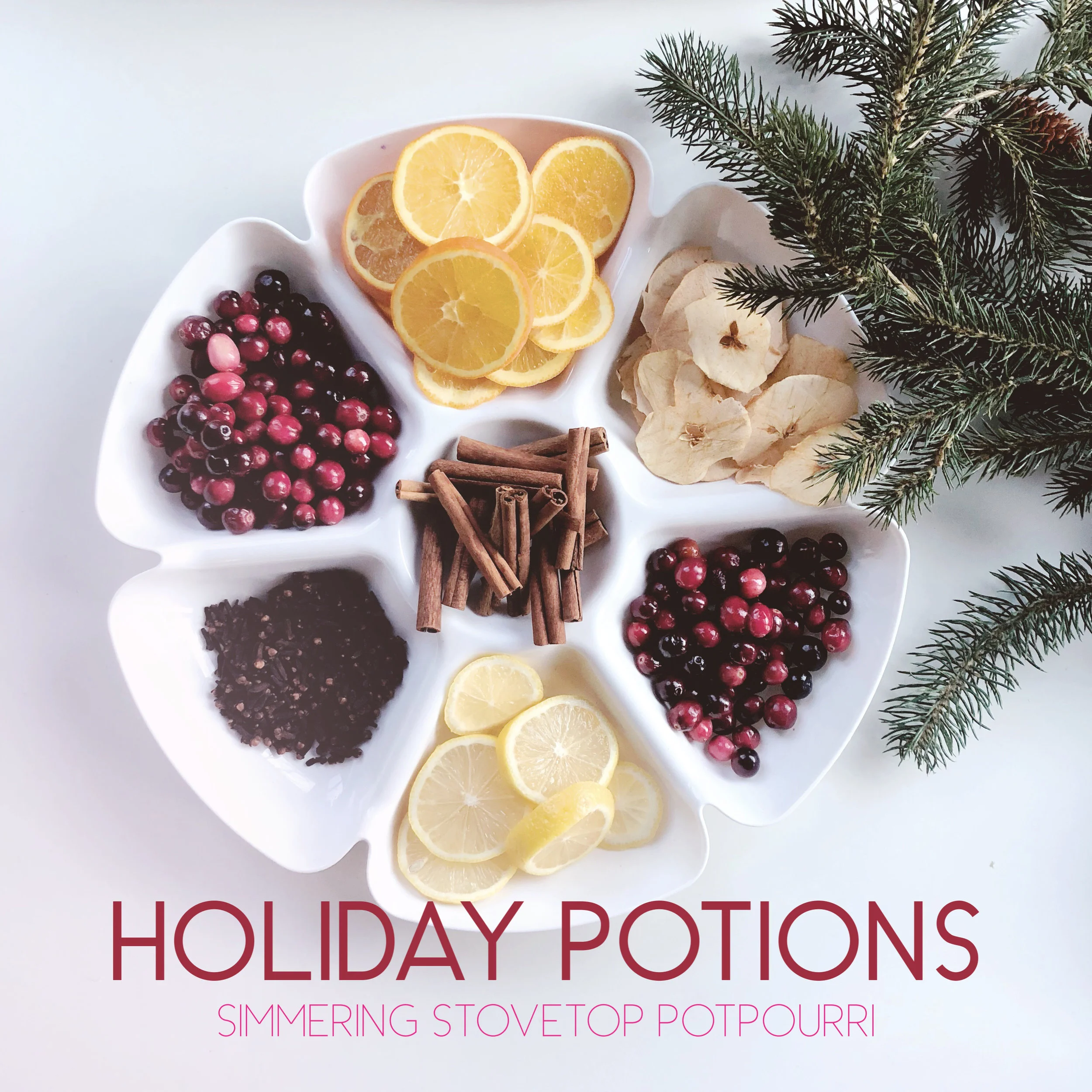Holiday Potions.jpg