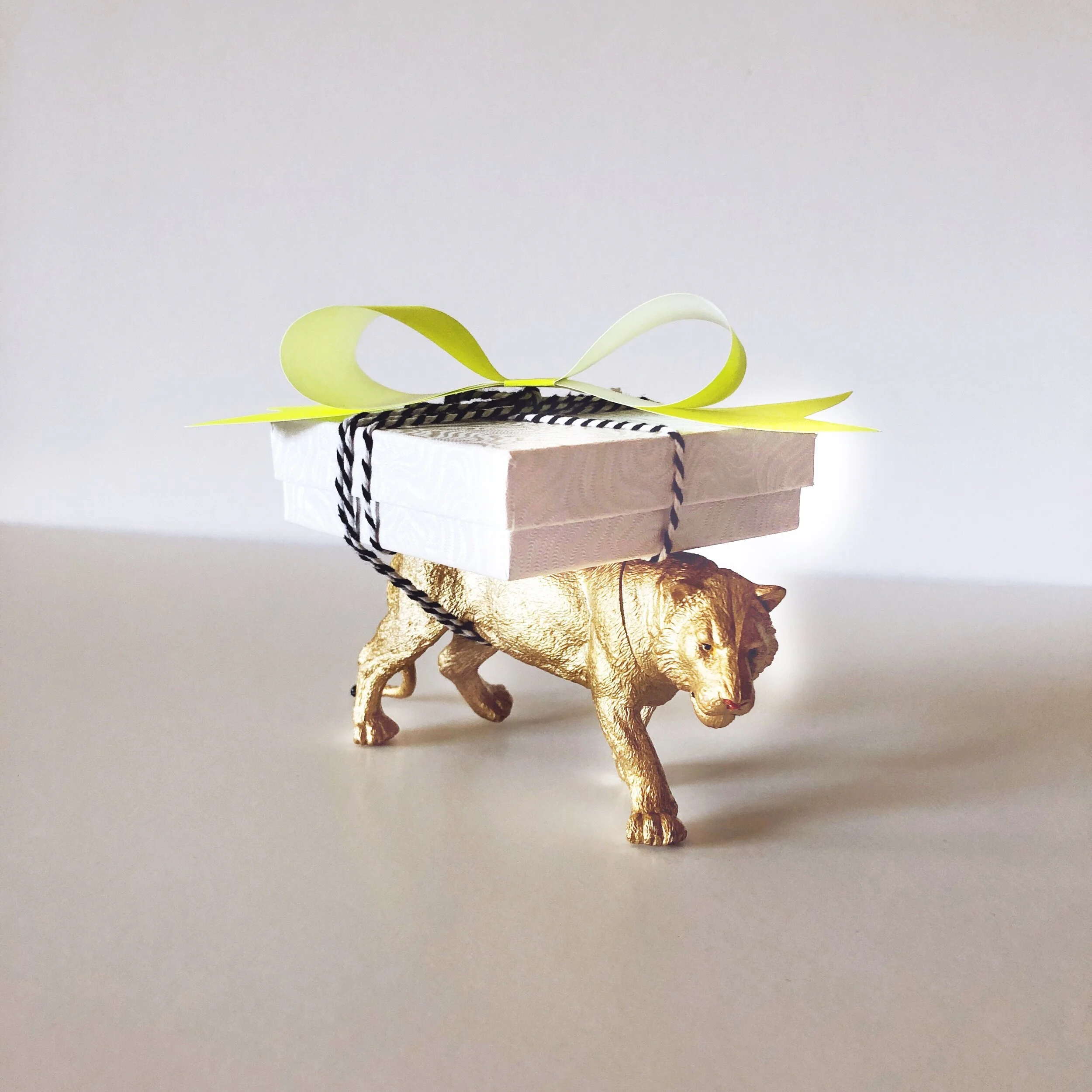 CA633159-3882-4756-ACDC-18A4872AE0F1