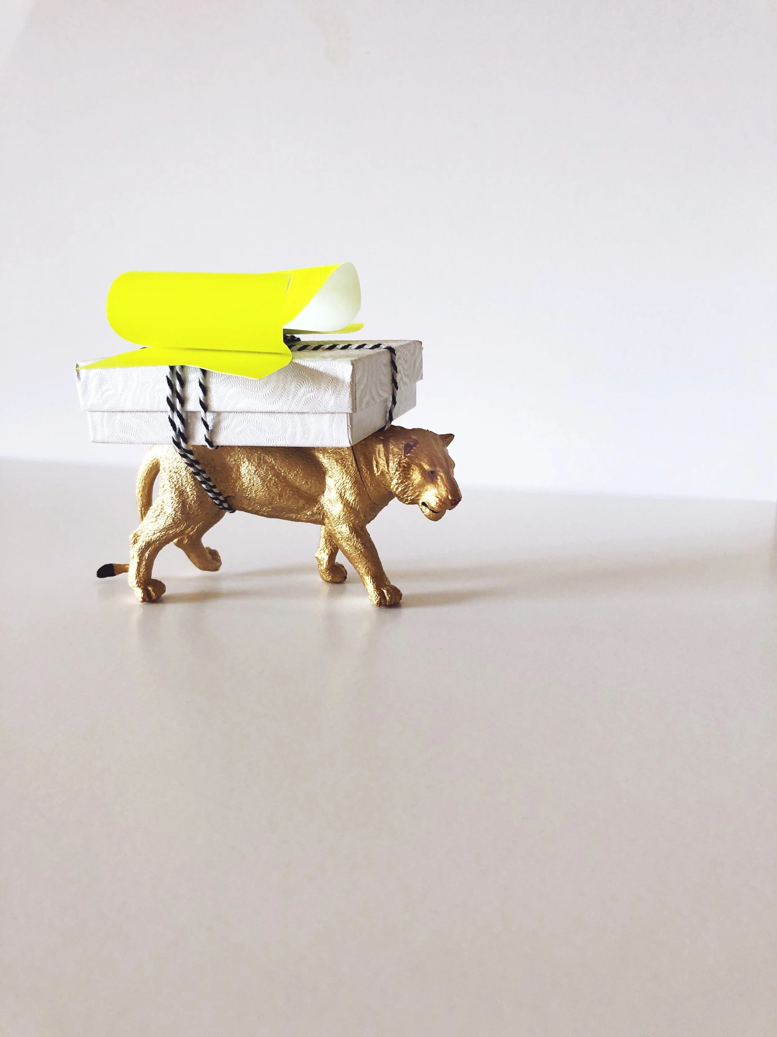 921DEF33-DC32-4355-AA40-480D3D70FE08