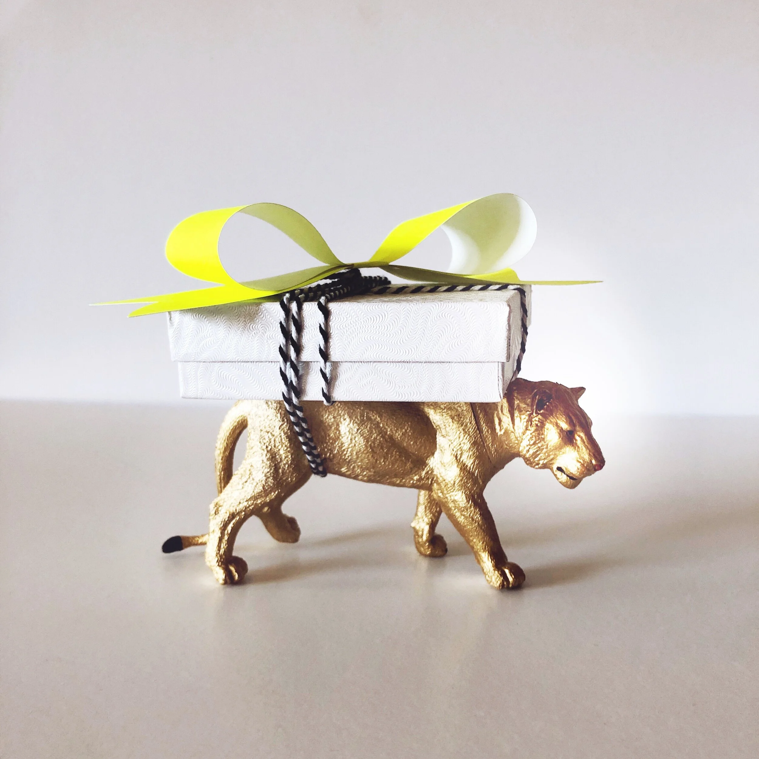 CFAFE526-A296-4C55-B250-24317FC9CFDD