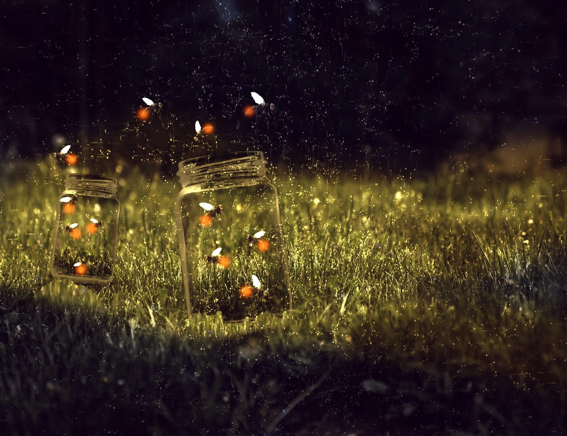 jar-6098534_1920.jpg