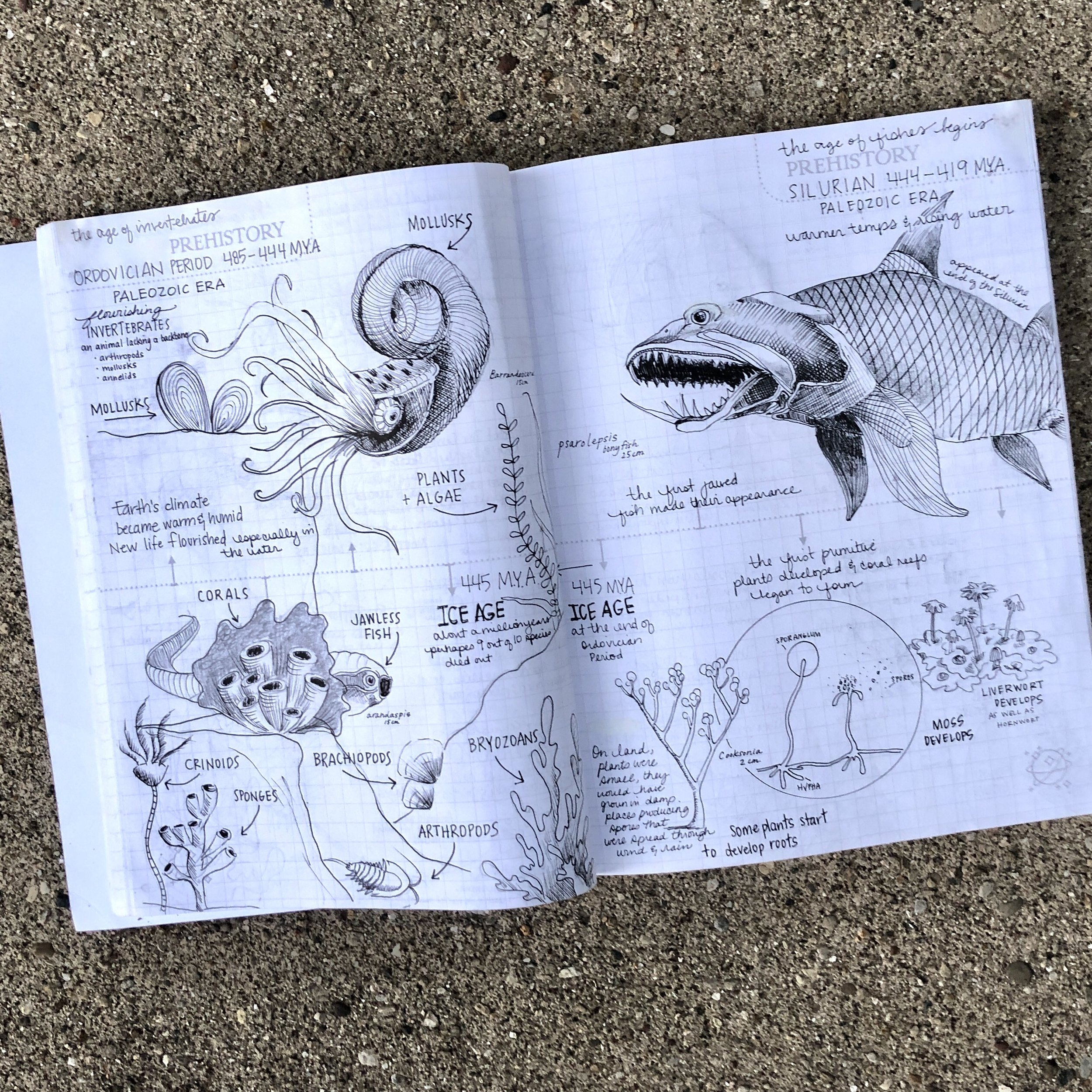 homeschool artclasses in downers grove.jpg