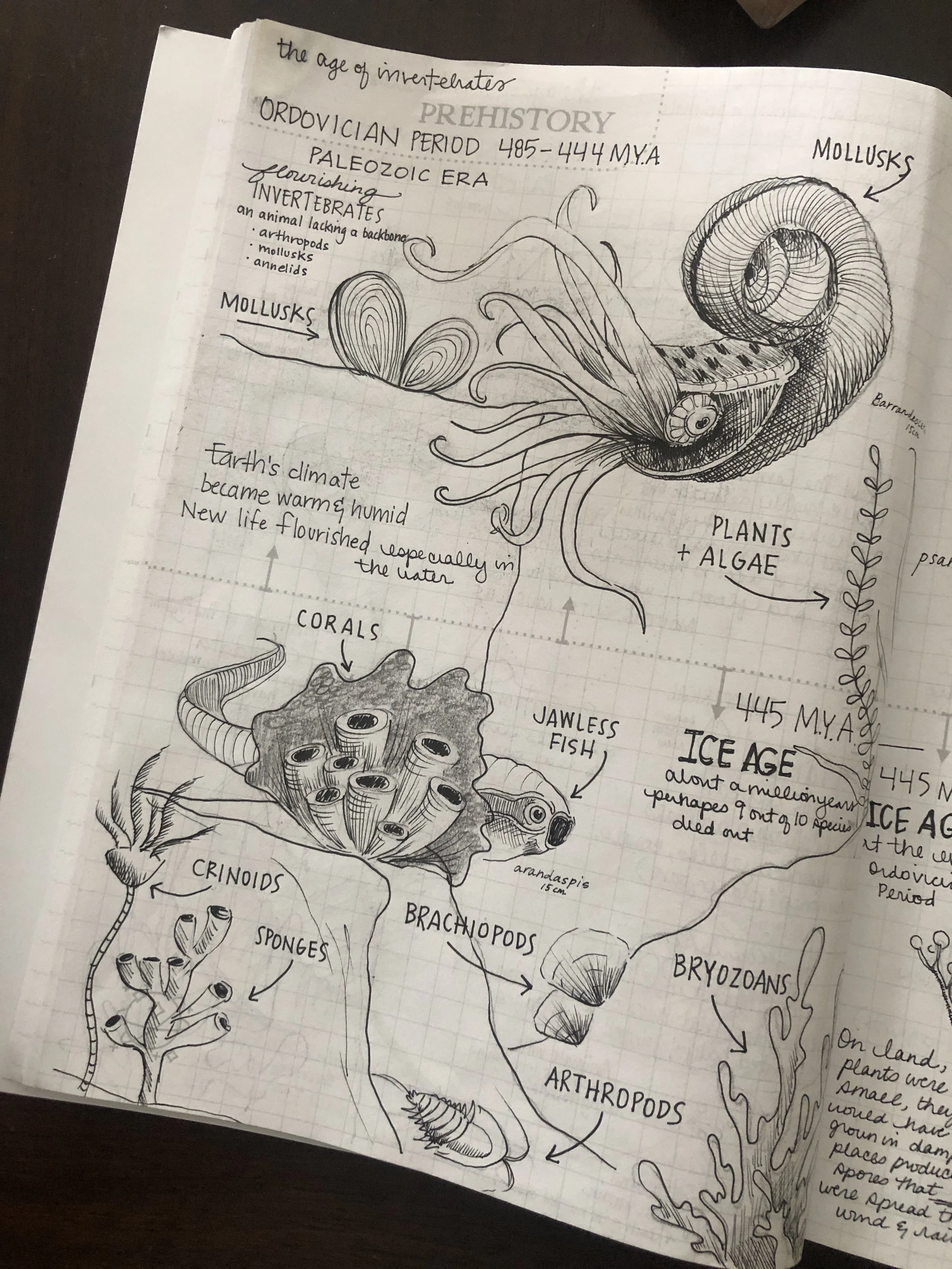 homeschool art studio in downers grove10.JPG