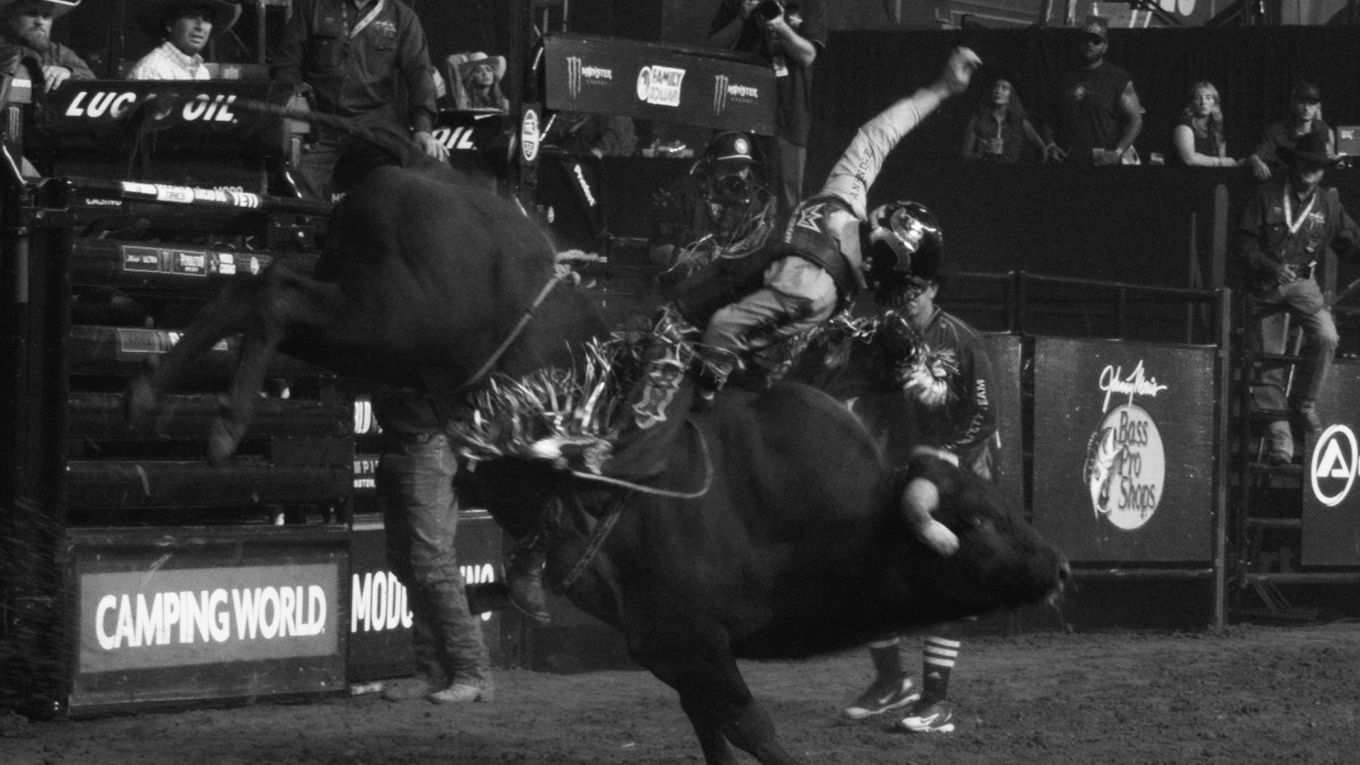 PBR ' WHY WE RIDE"