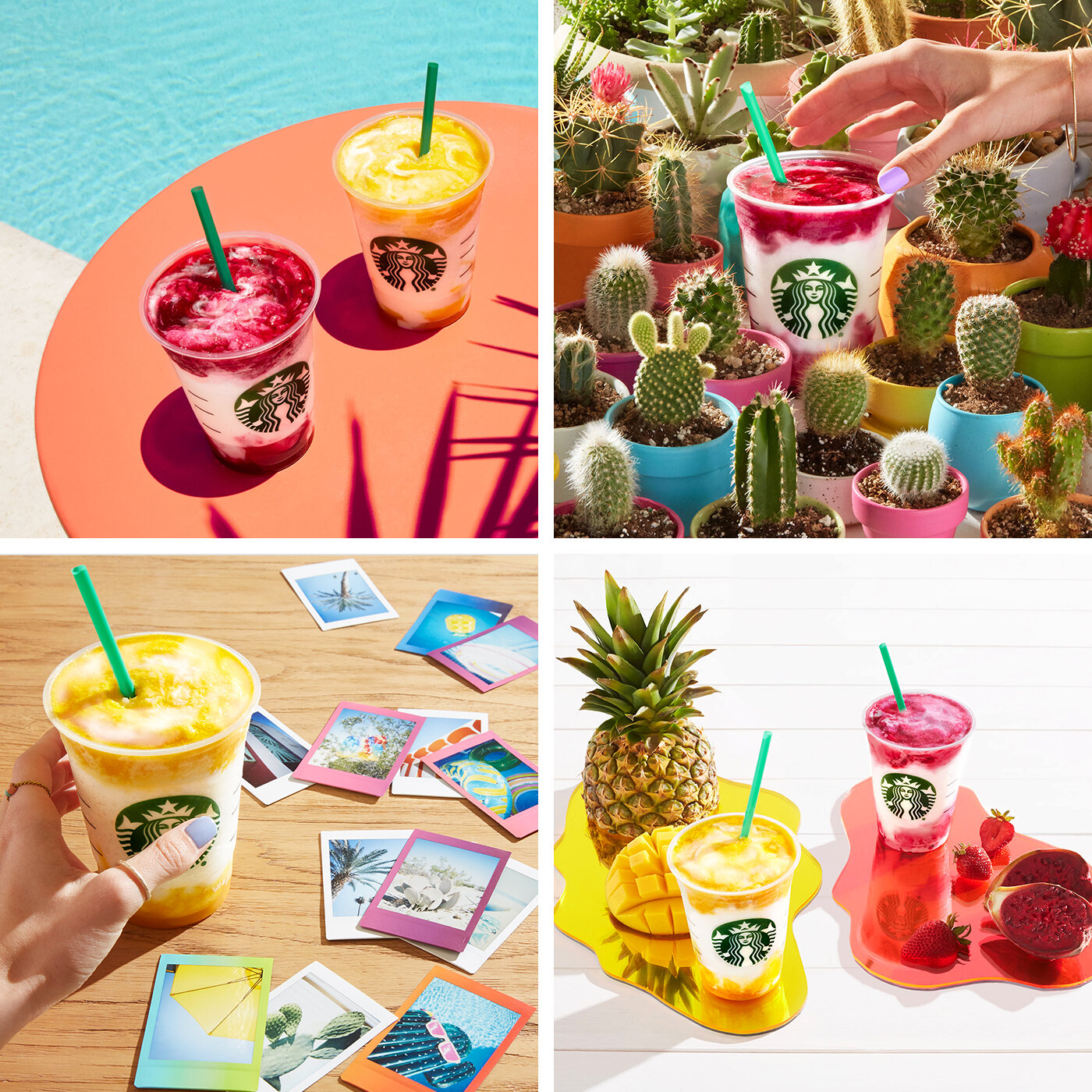 In mid-summer, with temperatures at their peak, we helped launch two brand new flavors—Mango Pineapple and Prickly Pear Berry.