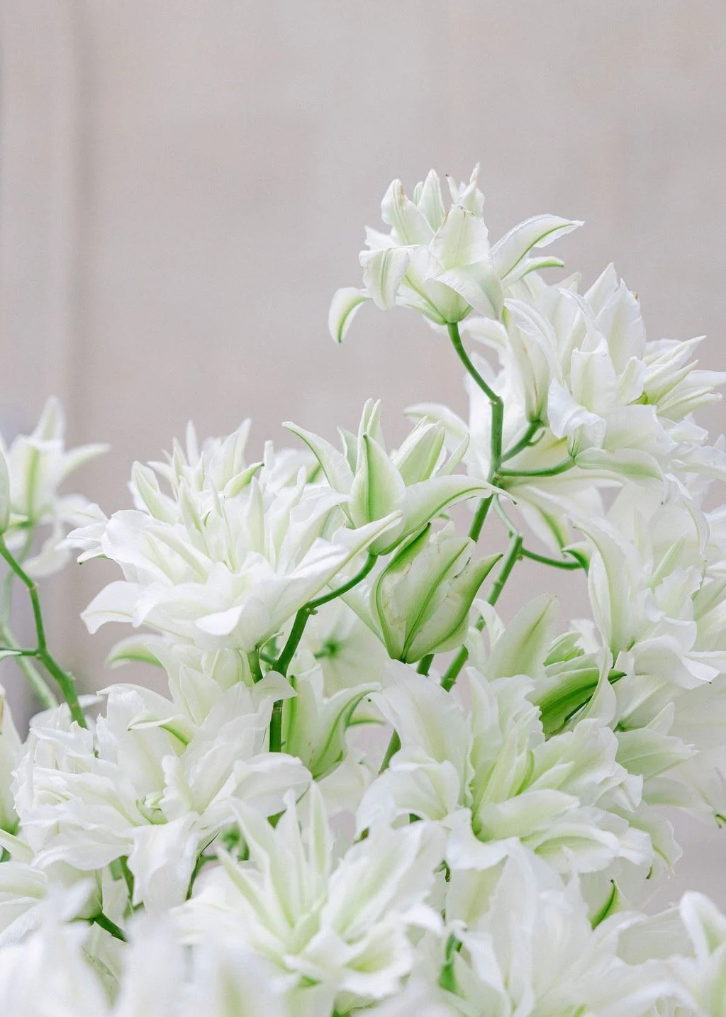 floresie_luxury_wedding_flowers_ritz_paris - 6.jpeg