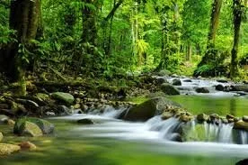 Meditations for Difficult Days - No. 3 - The River that Makes Glad