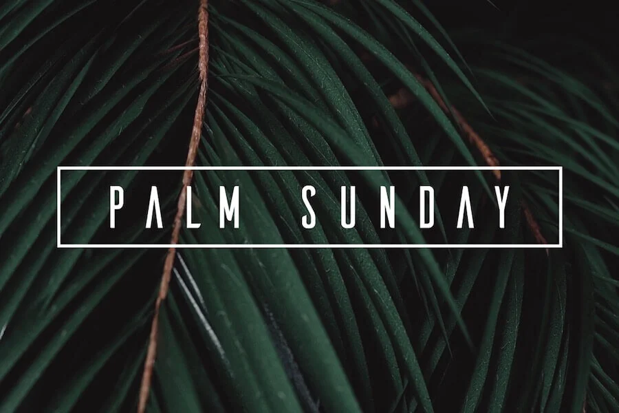 Palm Sunday - Jesus is King! (Mark 11:1-11)