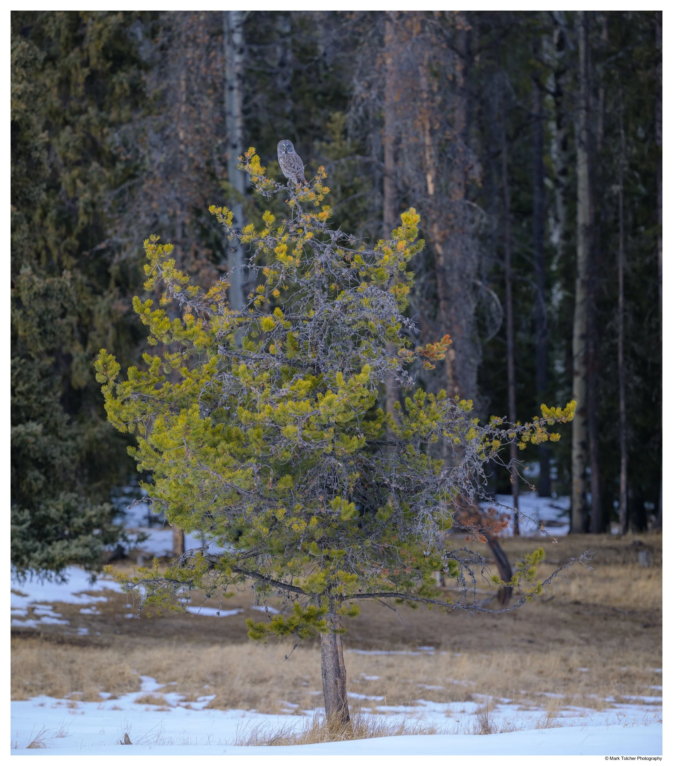 _Z9A8557-Pano.jpg