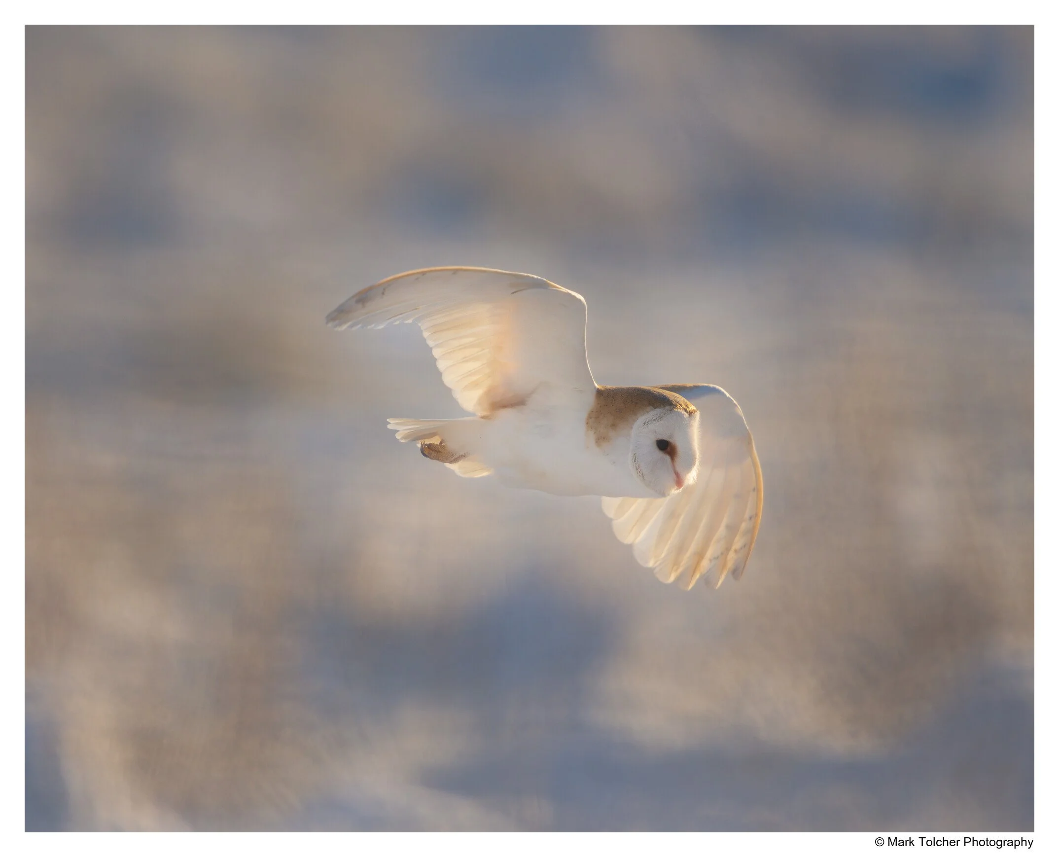 _D851021-Edit.jpg
