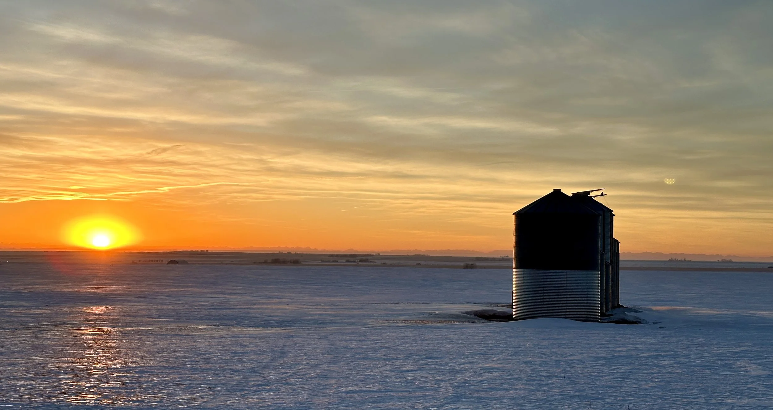Snowy Owl perched on a grain bin at sunset on a snow-covered Canadian prairie.