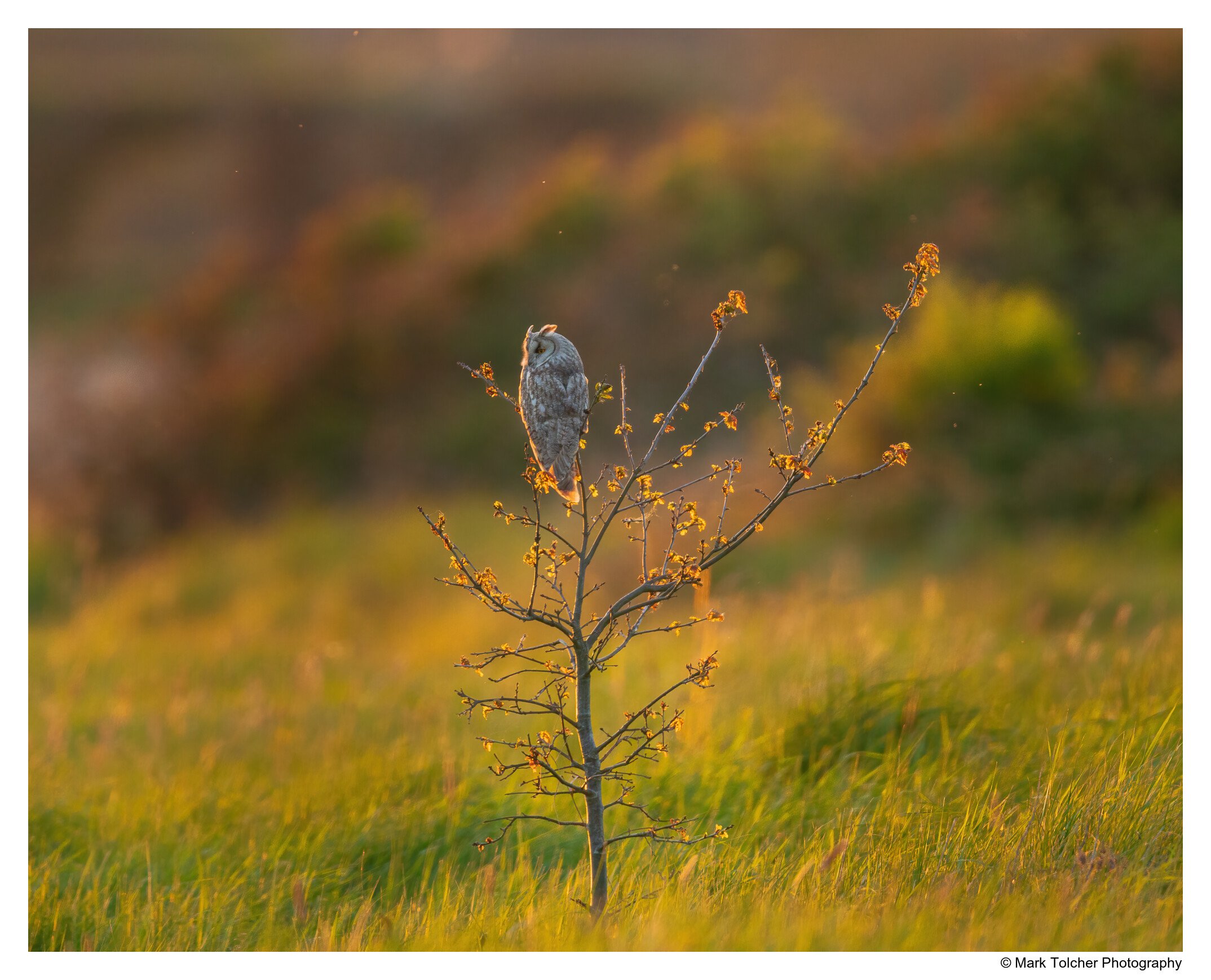 _D852981-Edit.jpg