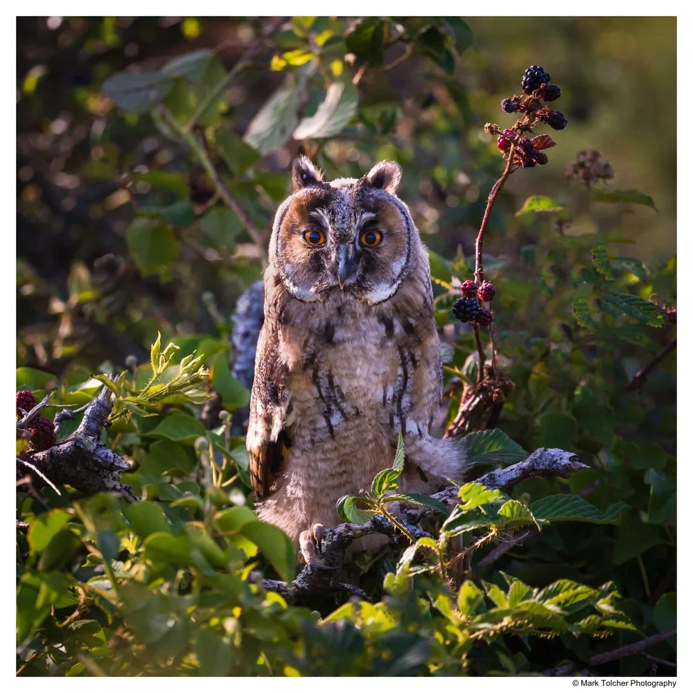 _D853727-Edit.webp
