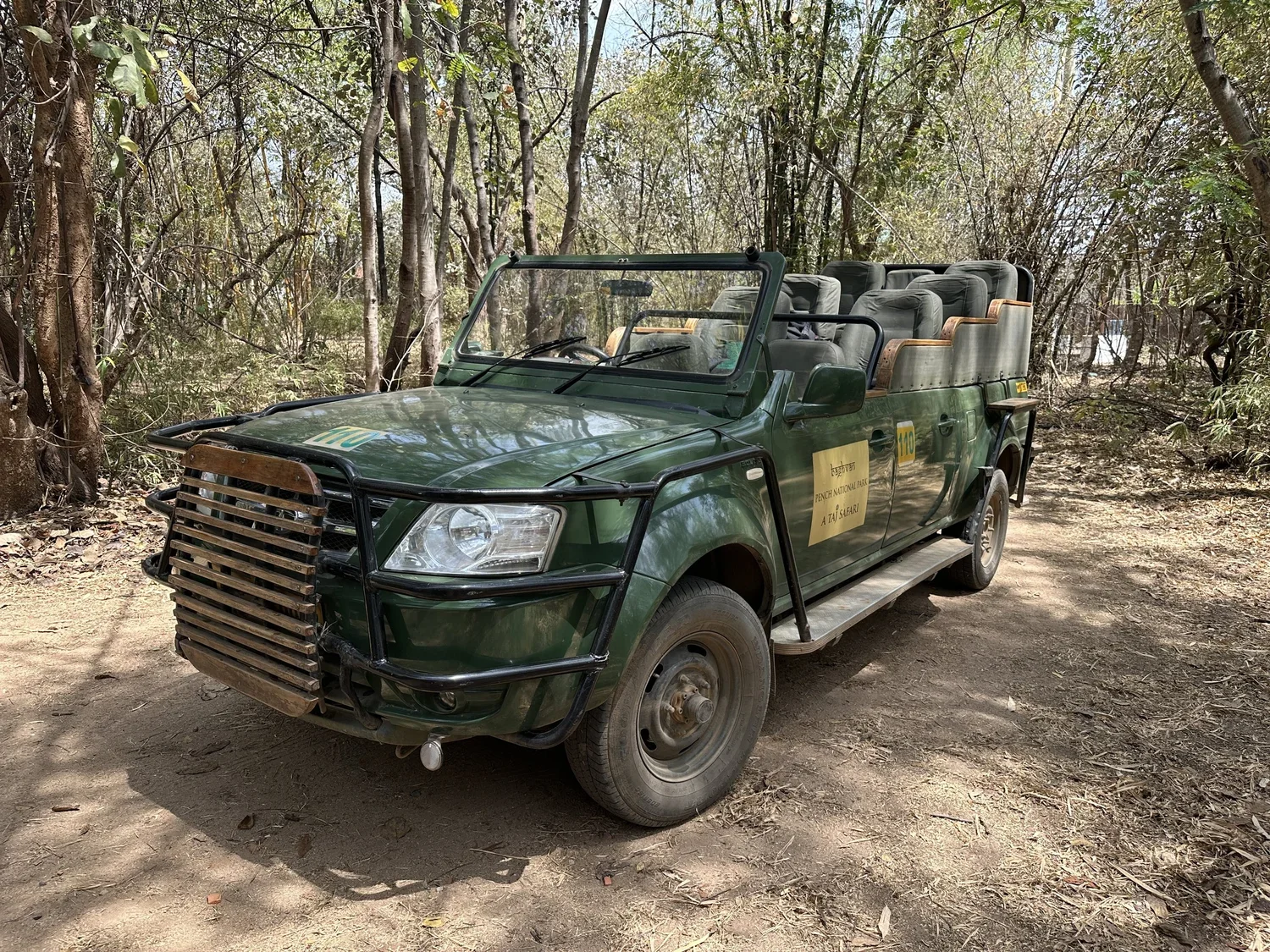 My First Safari Experience — Pench National Park, India