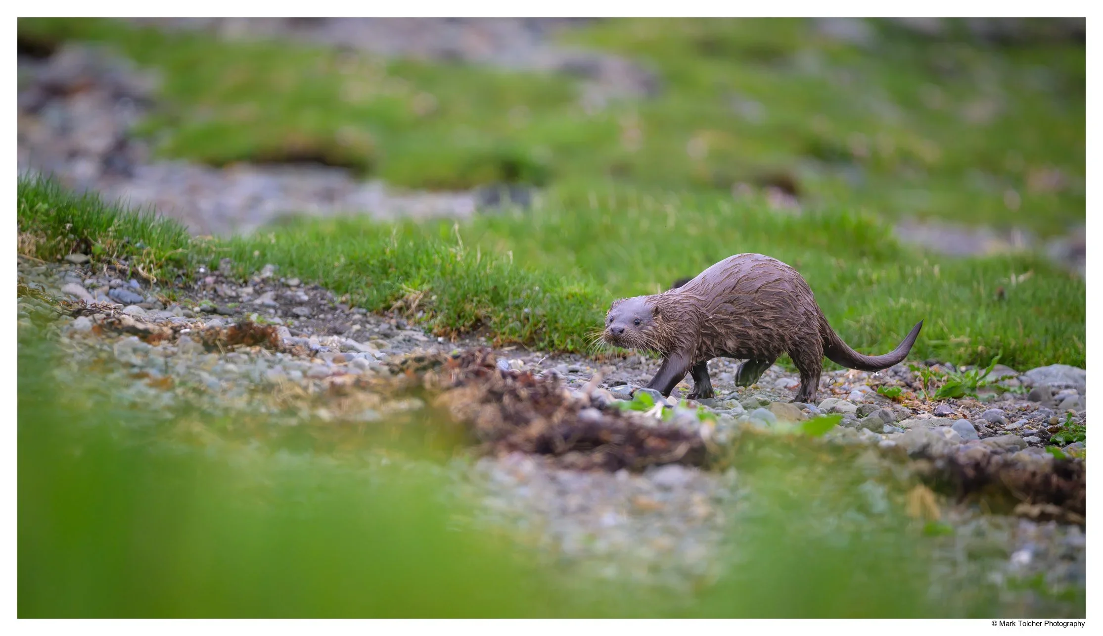_Z9A0034-Edit.webp