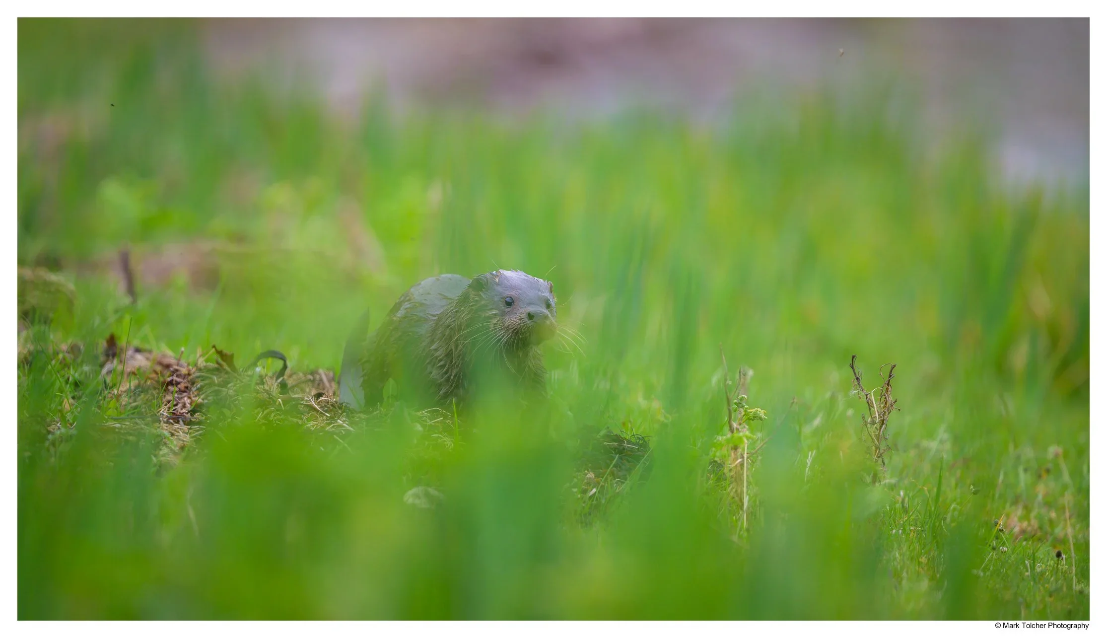_Z9A0041-Edit.webp