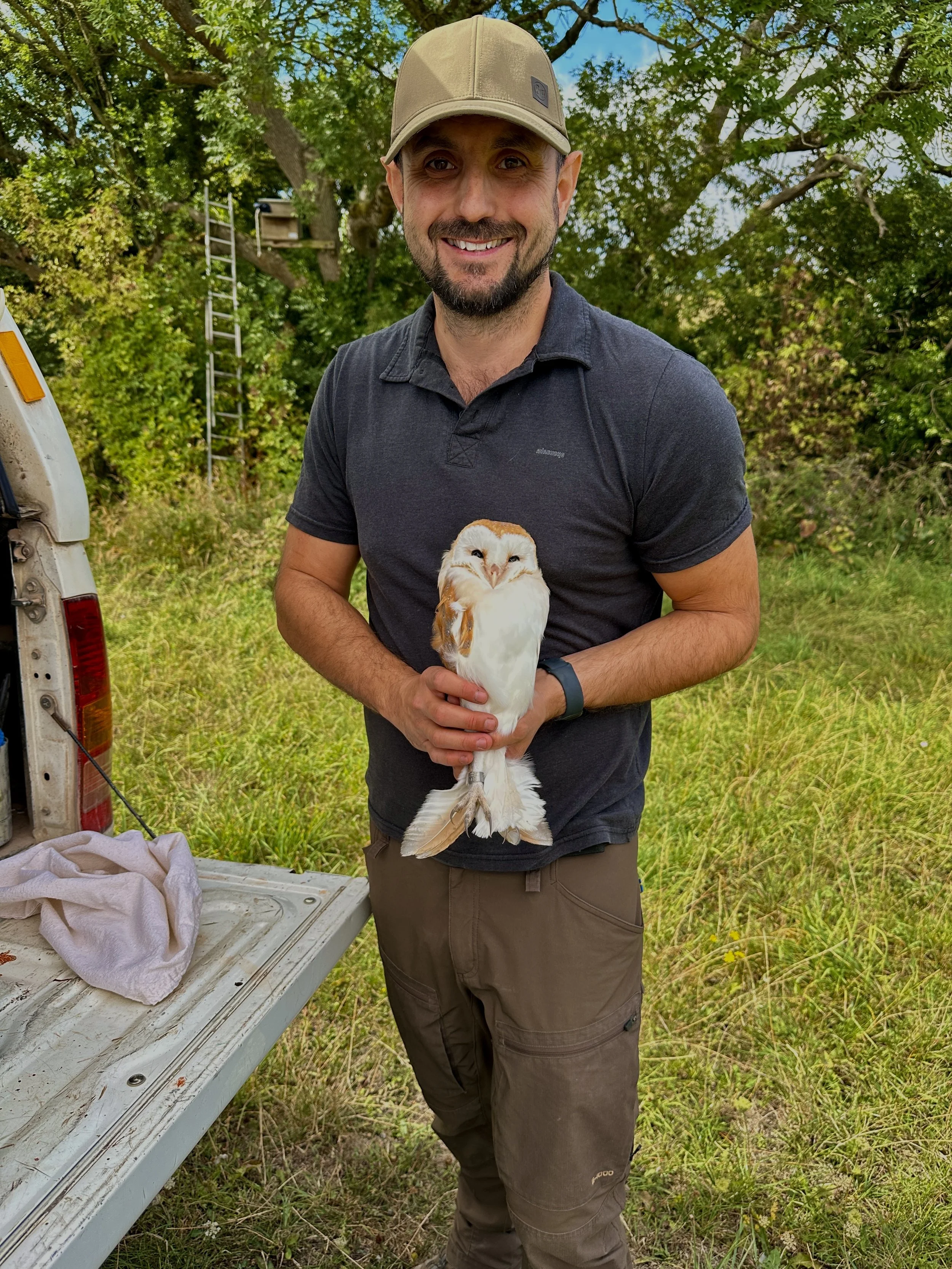 Ringing a Barn Owl Chick
