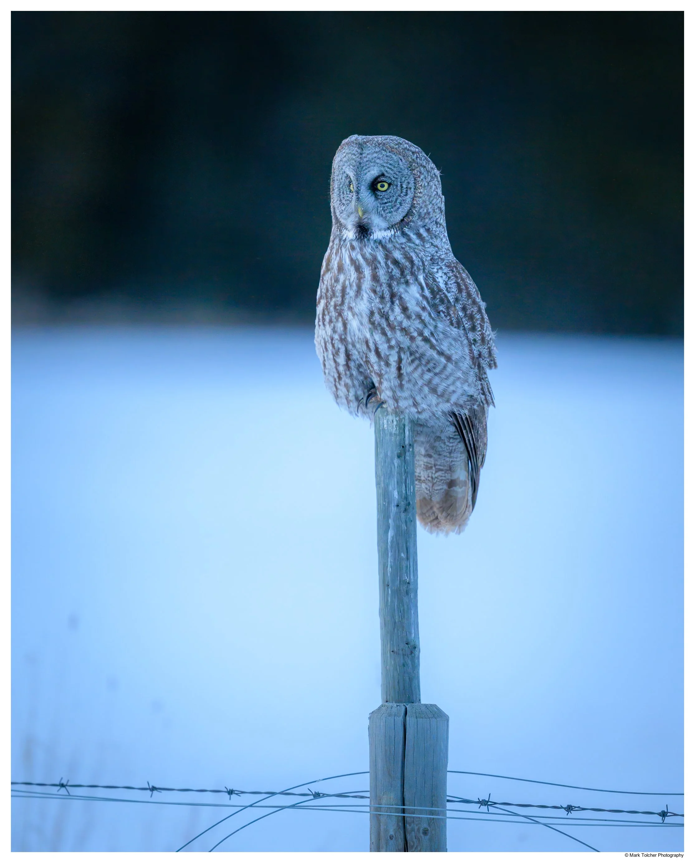 _Z9A8848-Edit.jpg