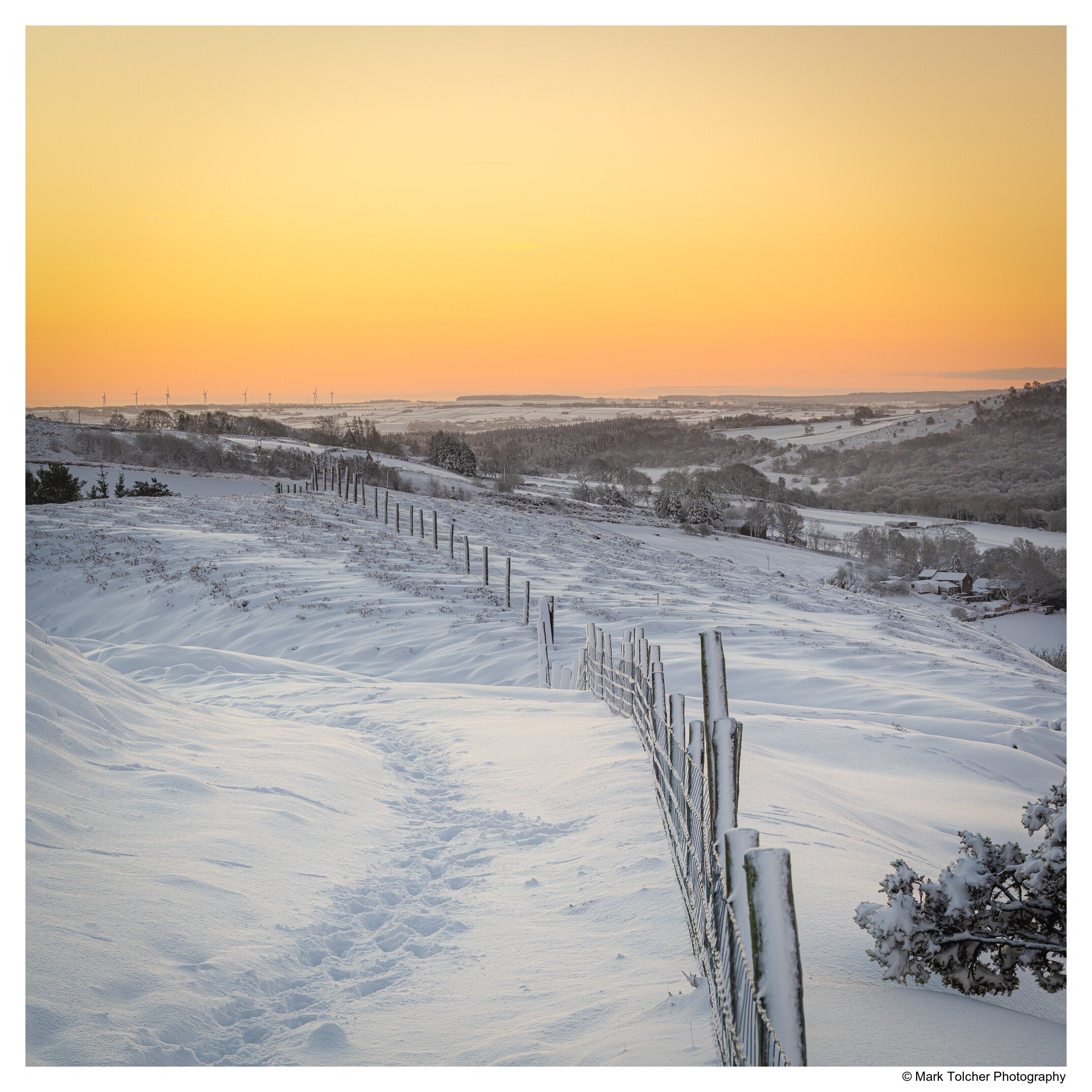 _NZ77340-Edit.jpg