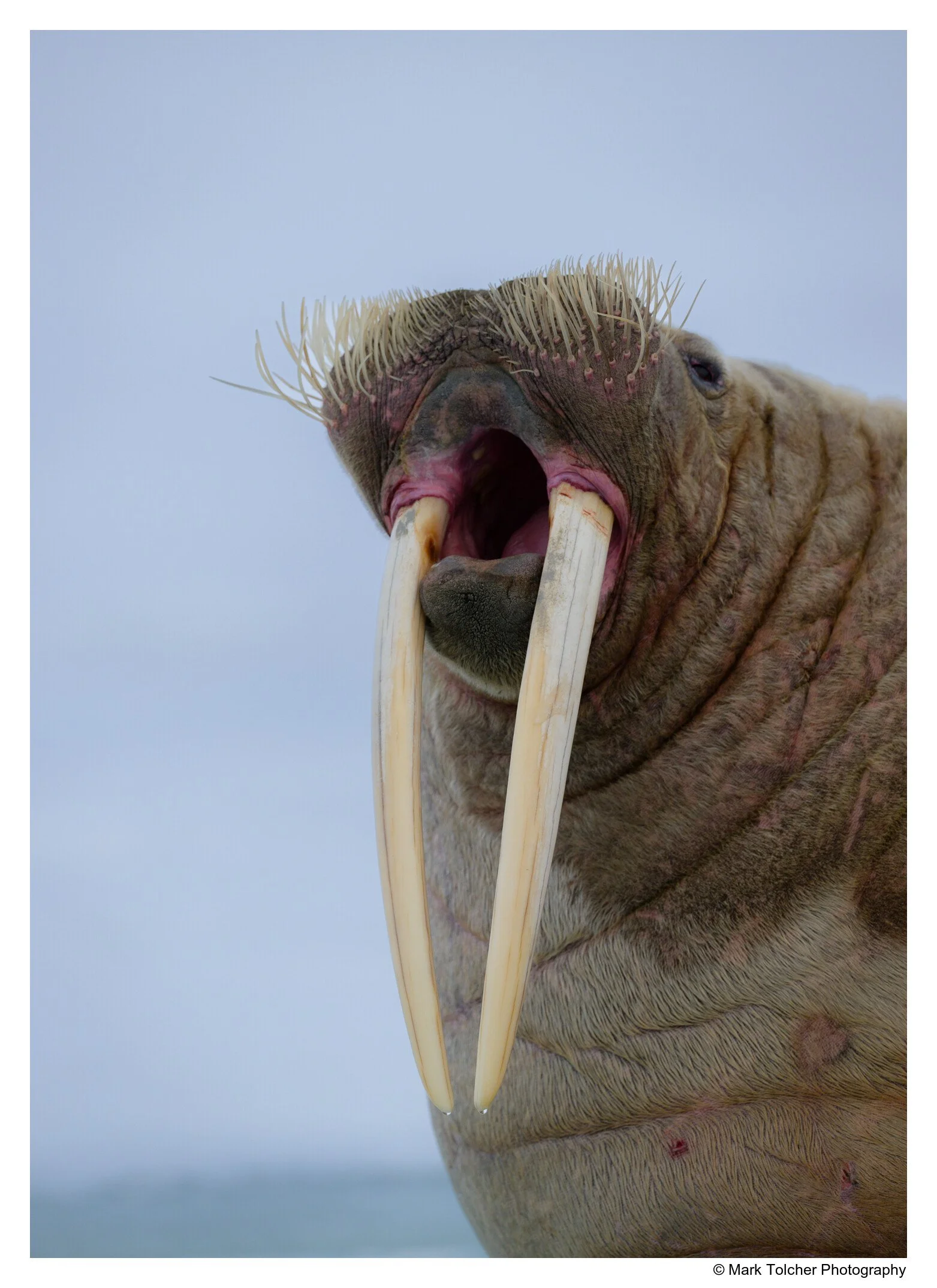 _Z9A7113.jpg