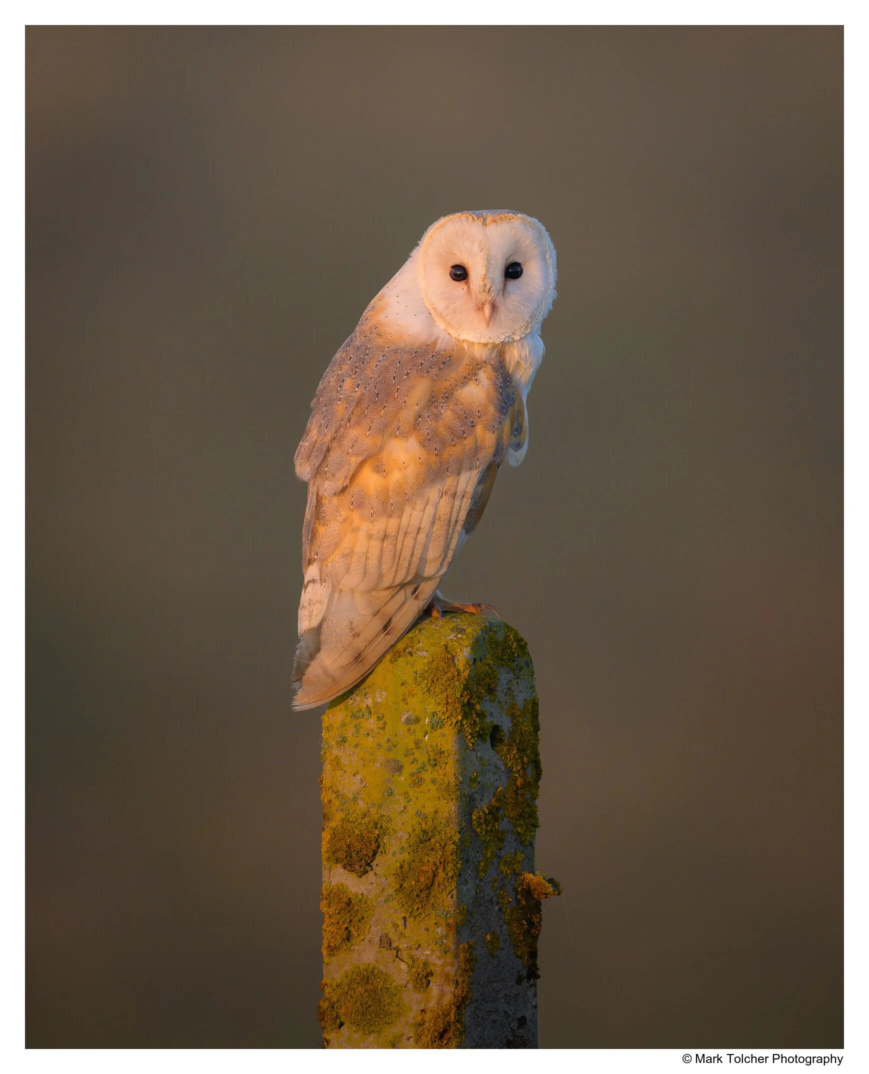 _Z9A2687-Edit.jpg