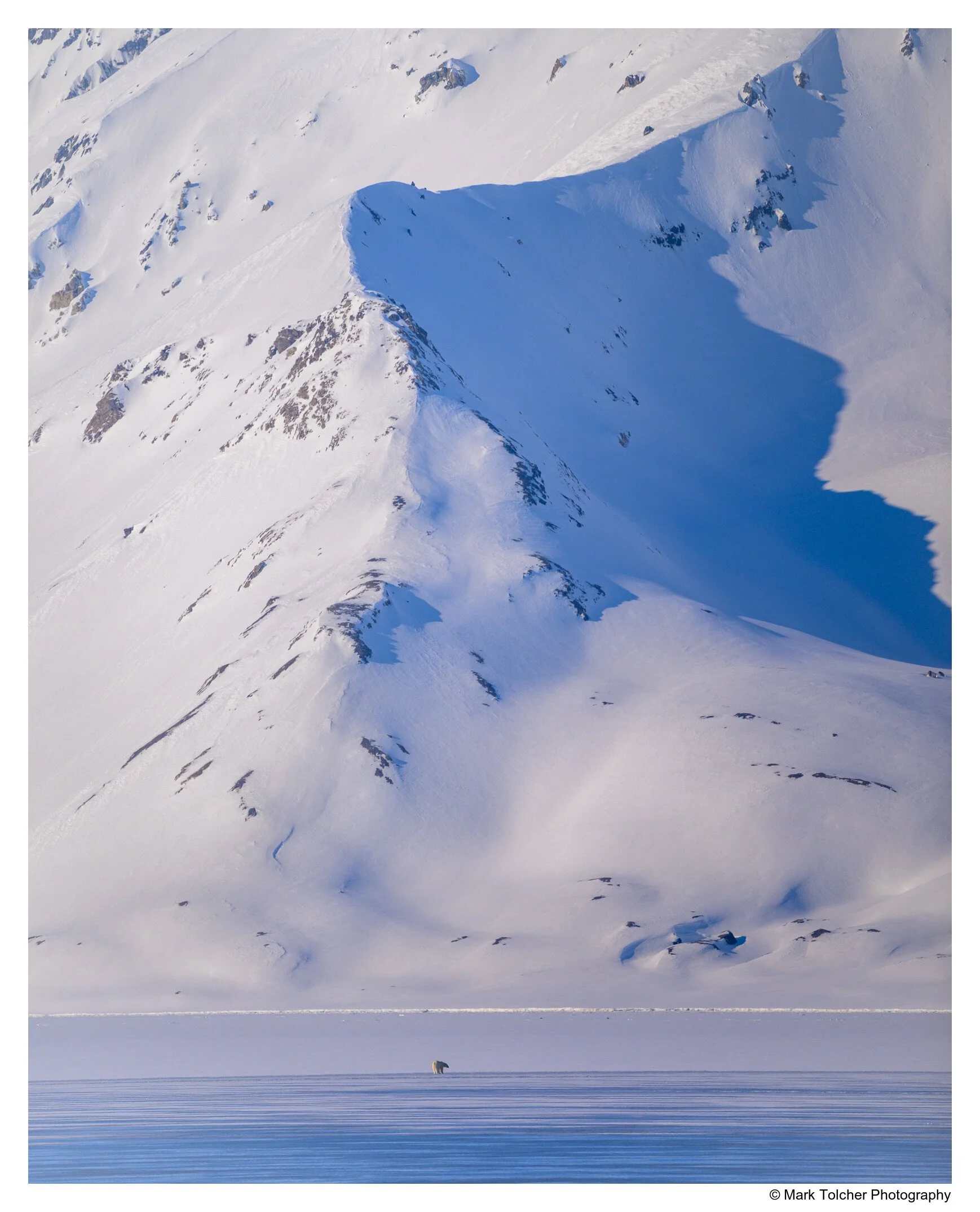 _NZ80204.jpg