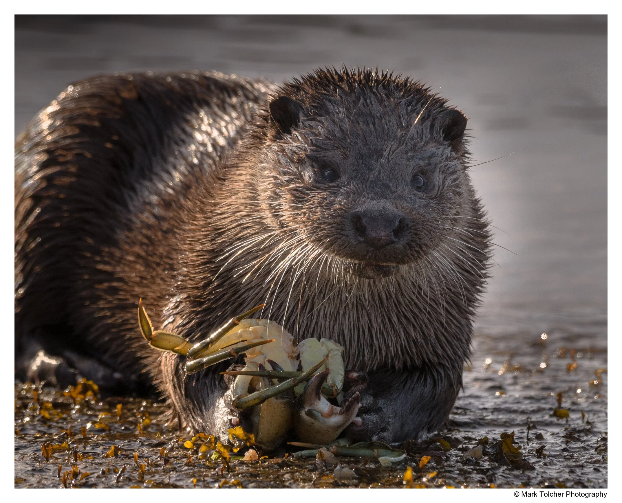 _DSC1657.jpg