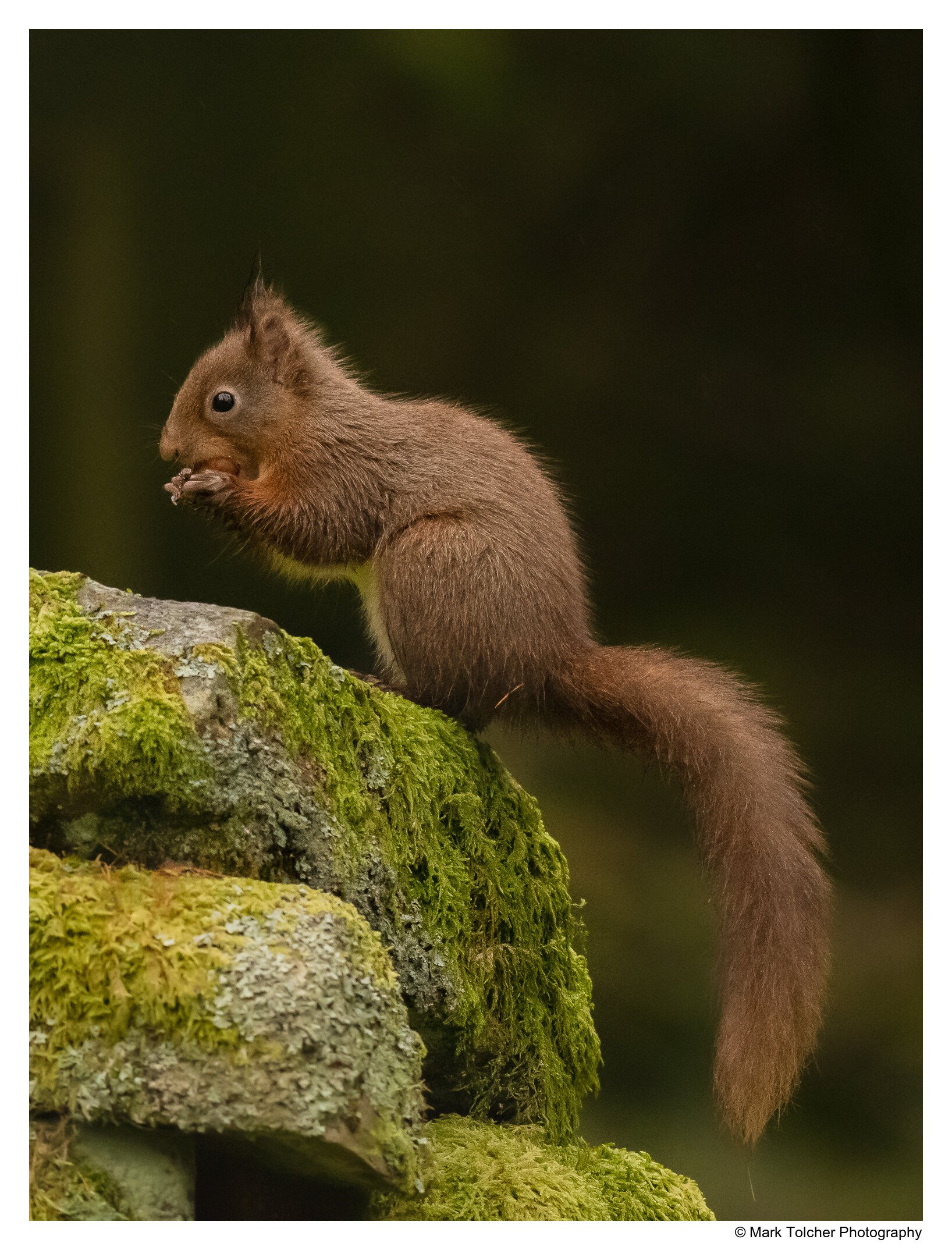 _DSC5011-Edit.jpg