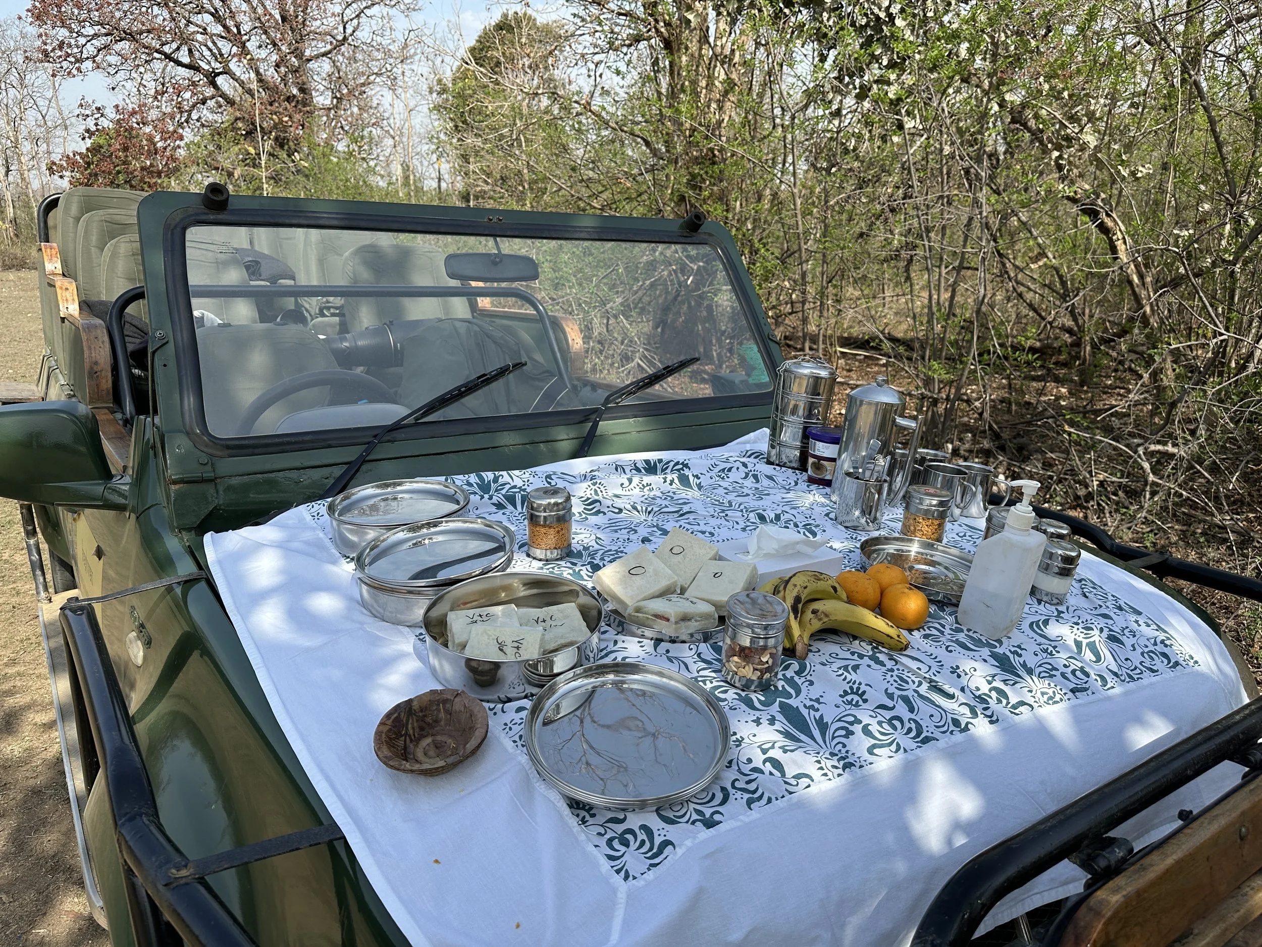 Breakfast on the bonnet of the Safari Jeep