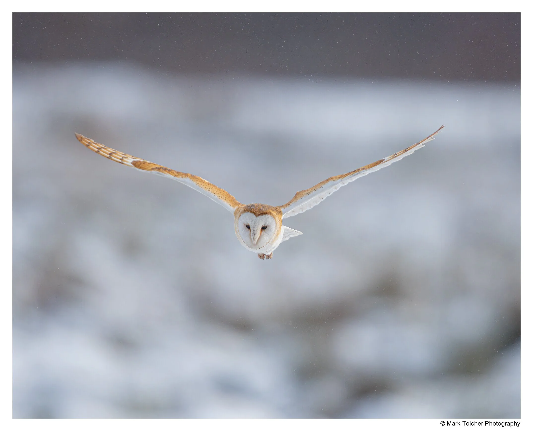 _D851379-Edit.jpg