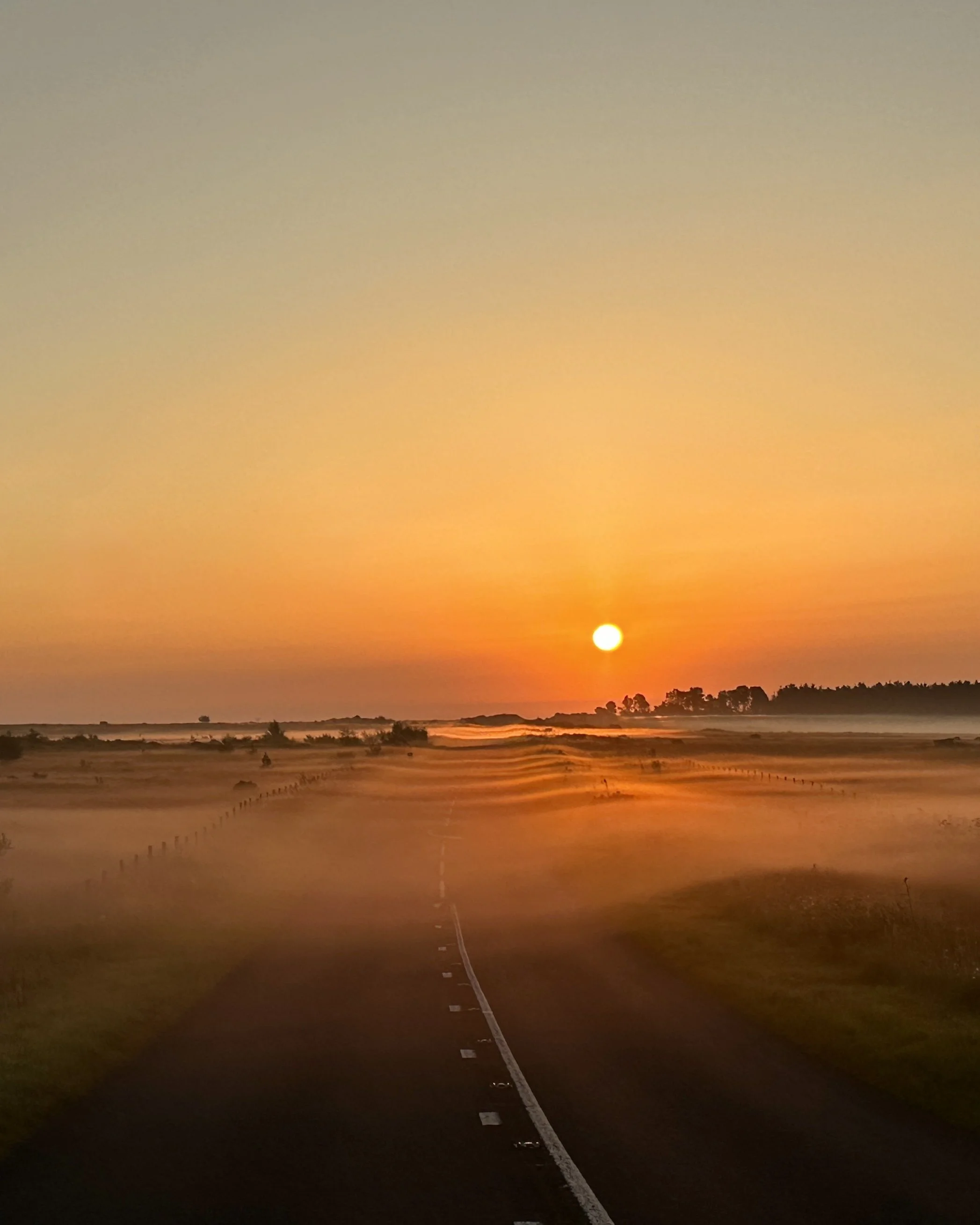 Sunrise over a mist-covered rural road on an early morning journey to photograph Barn Owls.
