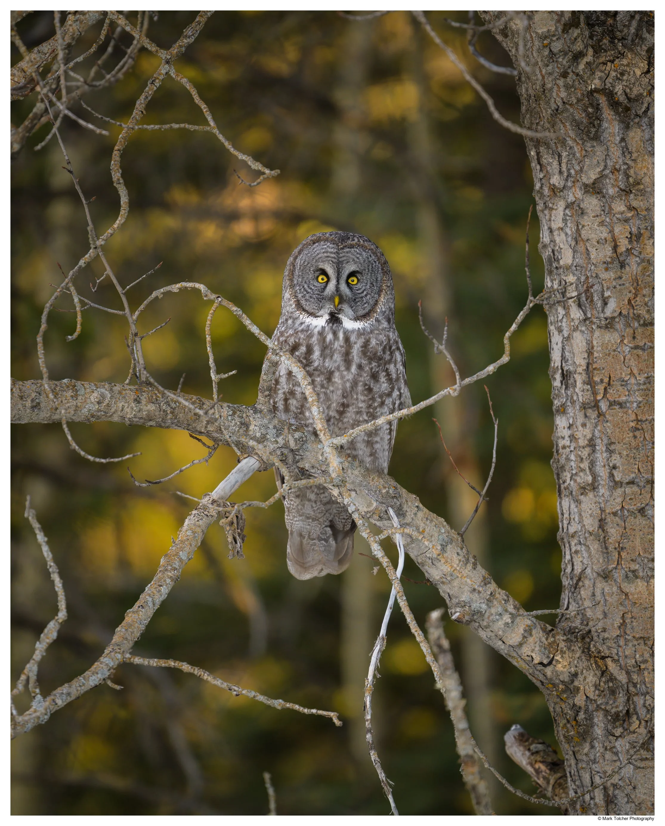 _Z9A8120-Edit.jpg
