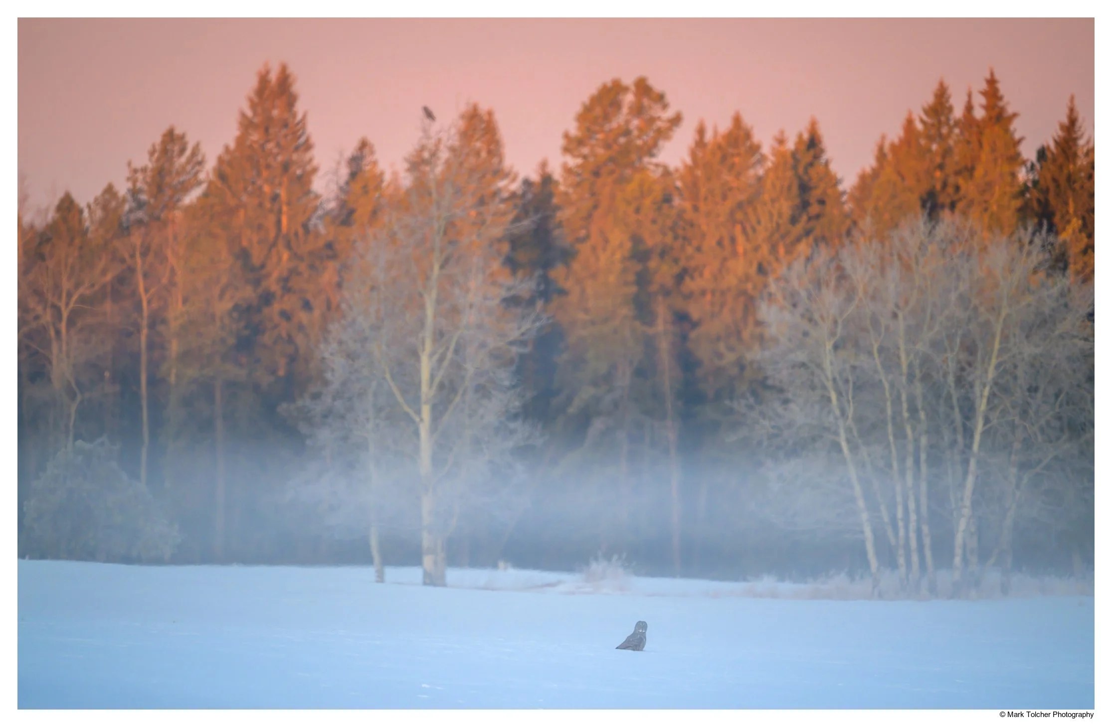 _Z9A8954-Pano-Edit.jpg