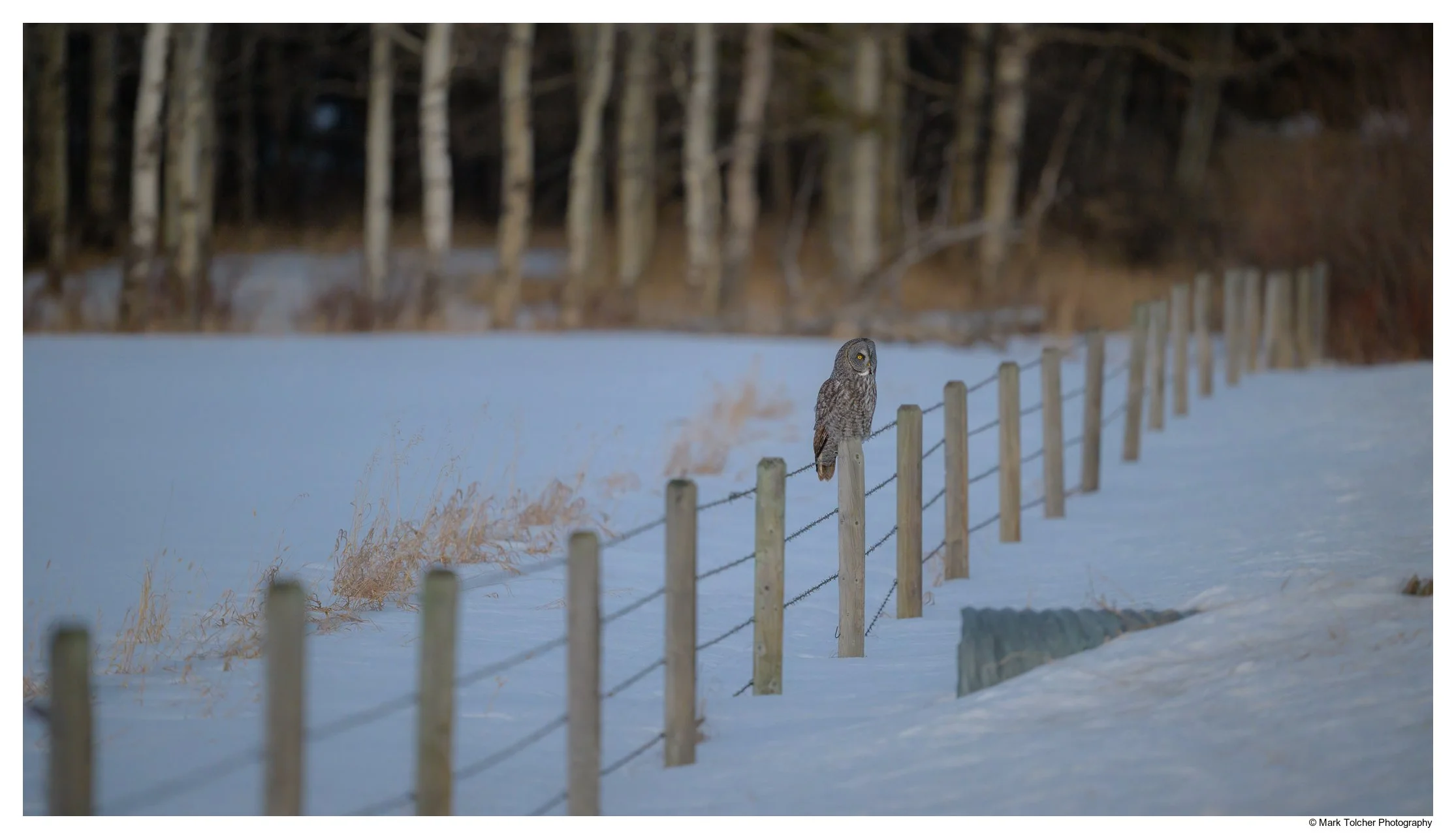 _Z9A8202-Edit.jpg