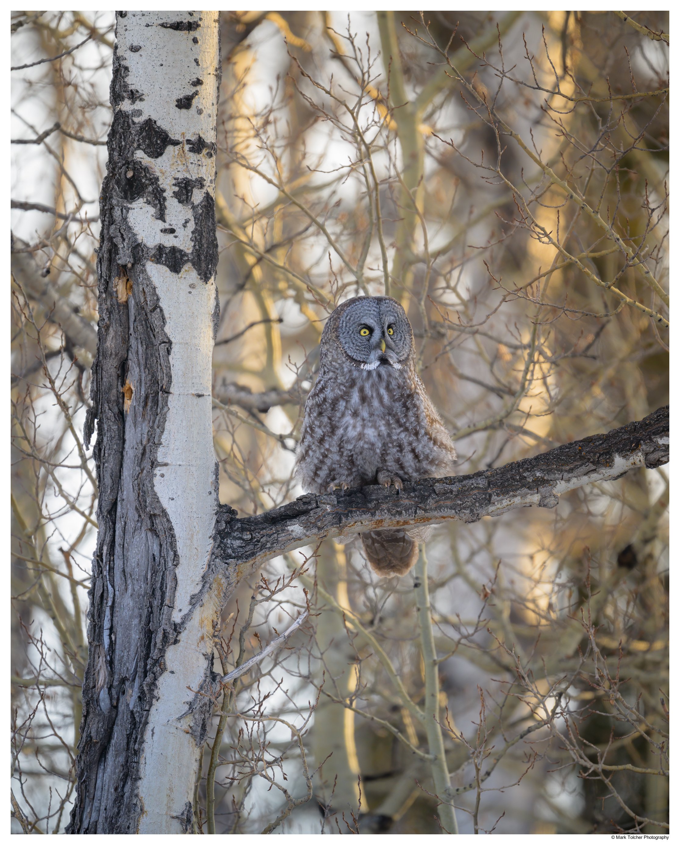 _Z9A8983-Edit.jpg