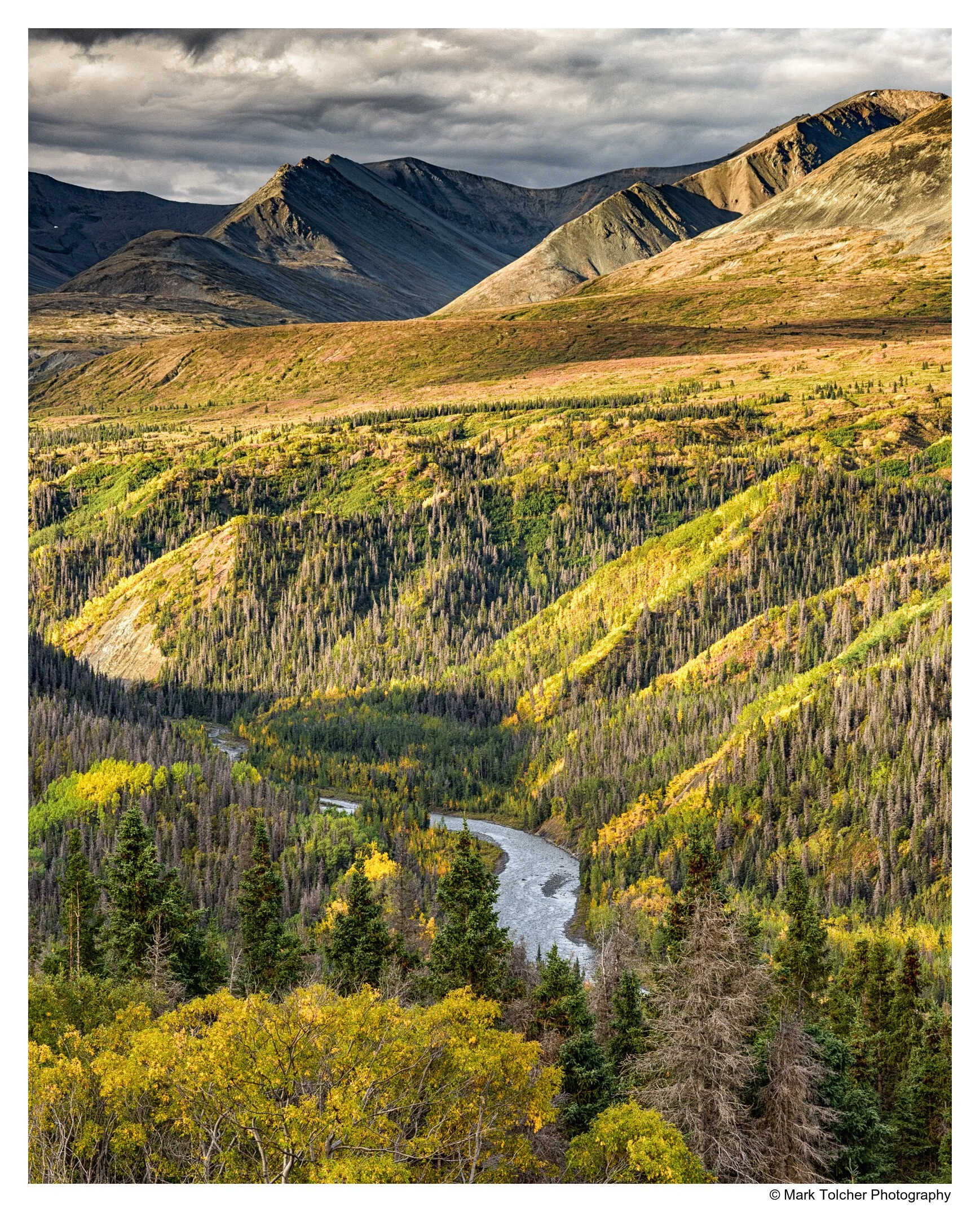 _DSC1952-Edit.jpg