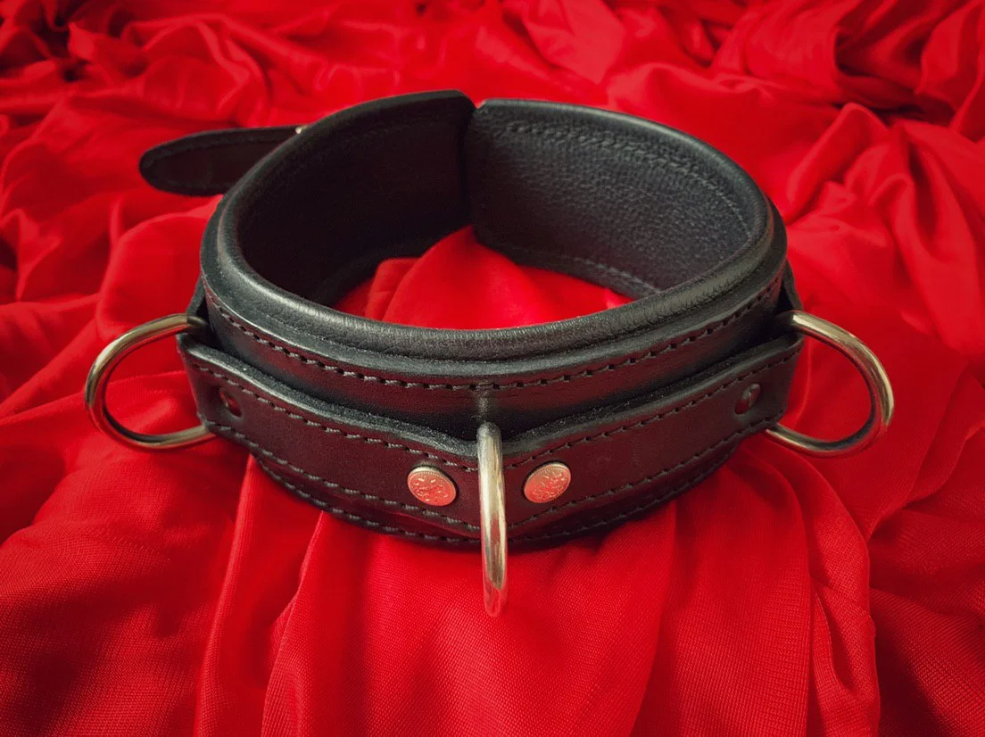 leather collar.jpg