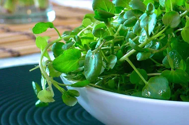 ensalada-de-berros-de-agua.jpg