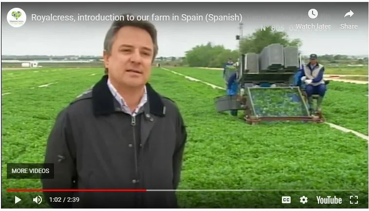 Royalcress, S.A. Finca Rocio, Jerez de la Frontera