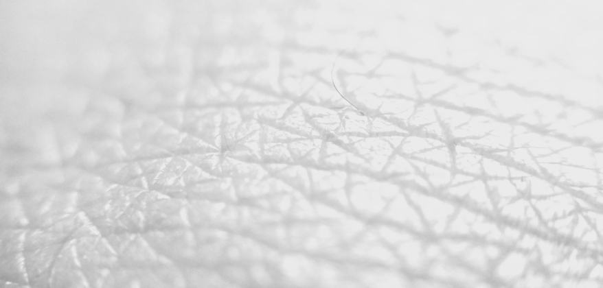 Screen Shot 2021-10-05 at 9.51.11 AM.png