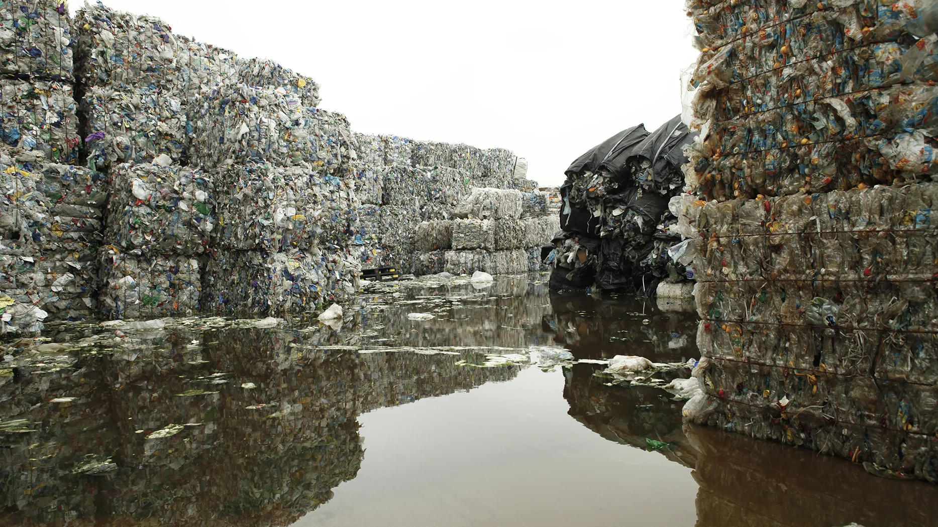 Plastic China2.jpg