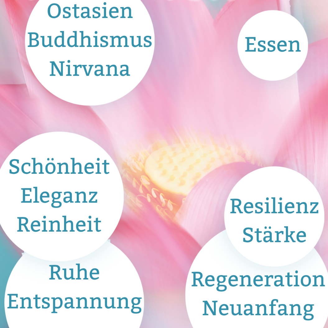 Was bedeutet der Lotus für dich?