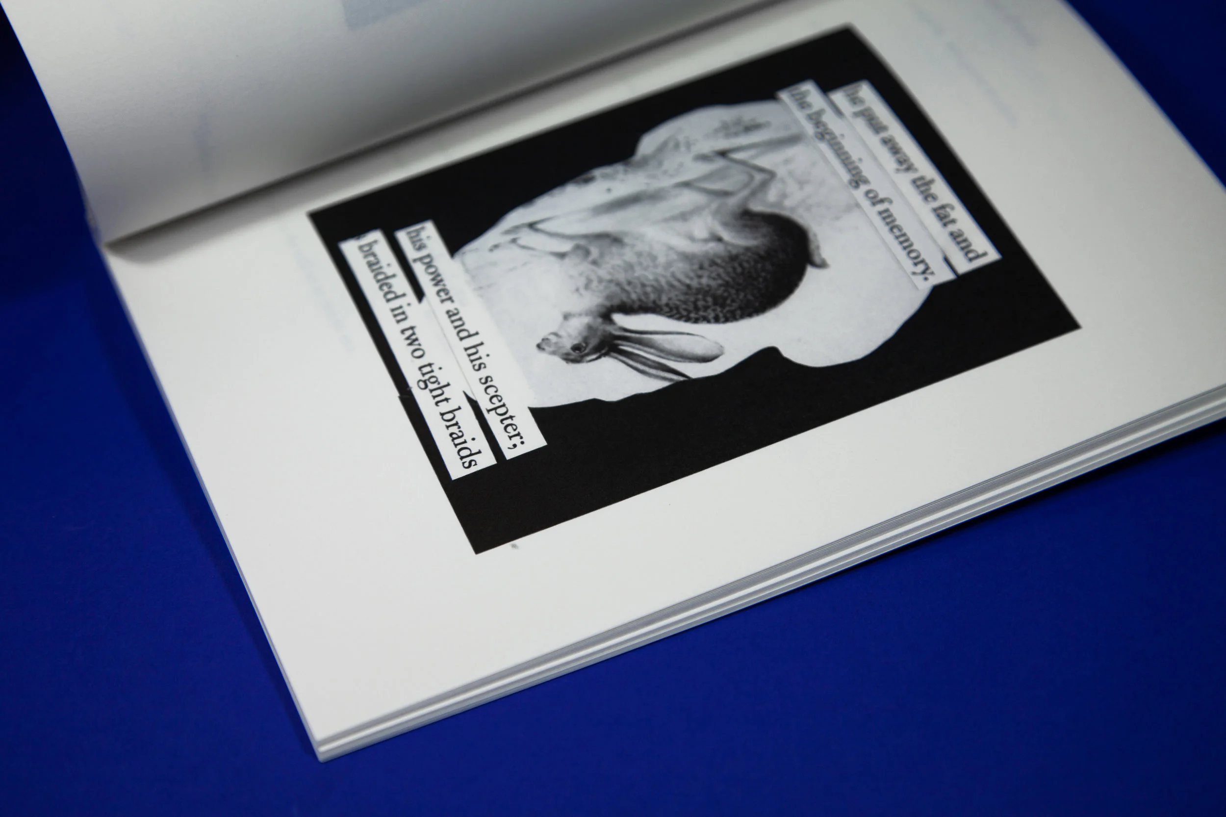 Semiotomatic_Book.jpg