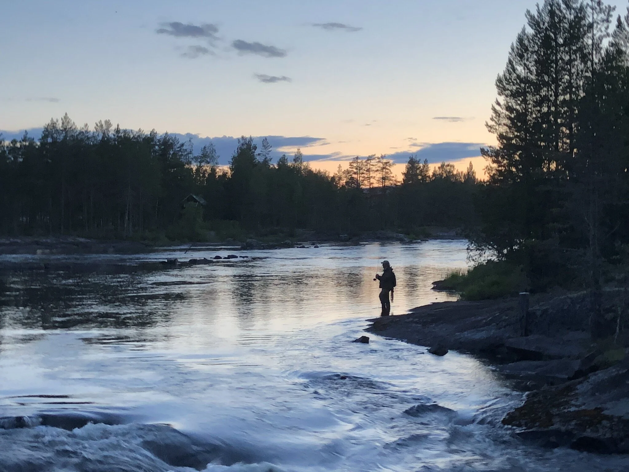 Nybörjarkurs i flugfiske