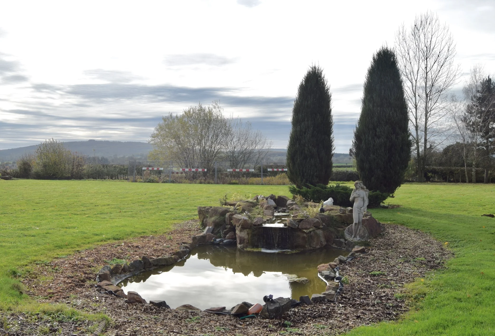 3A garden.jpg