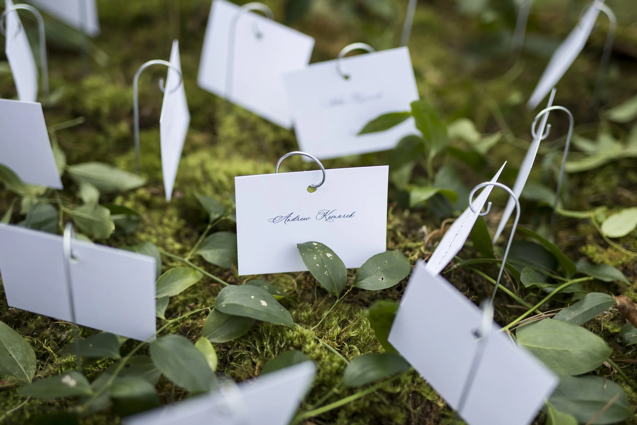 October 04, 2025152934.jpg