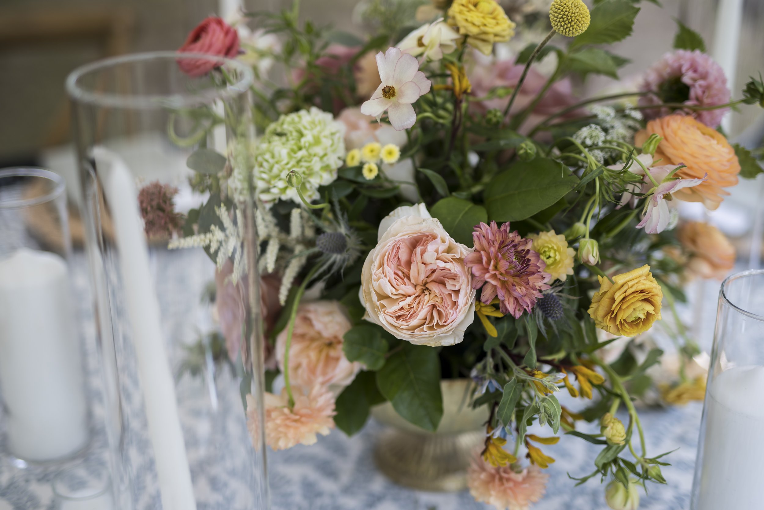 October 04, 2025152834.jpg