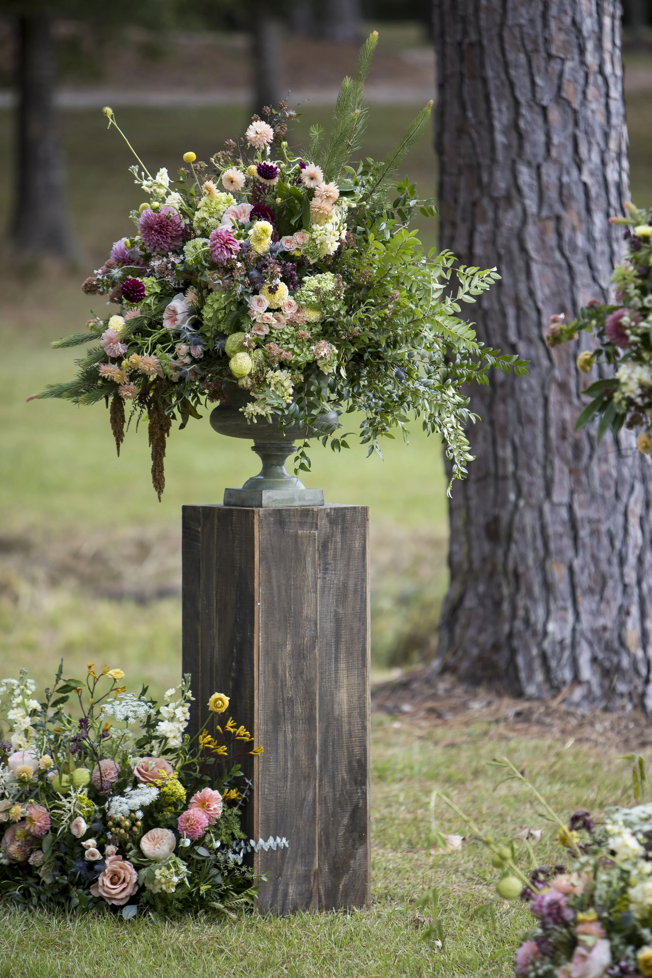 October 04, 2025162706.jpg