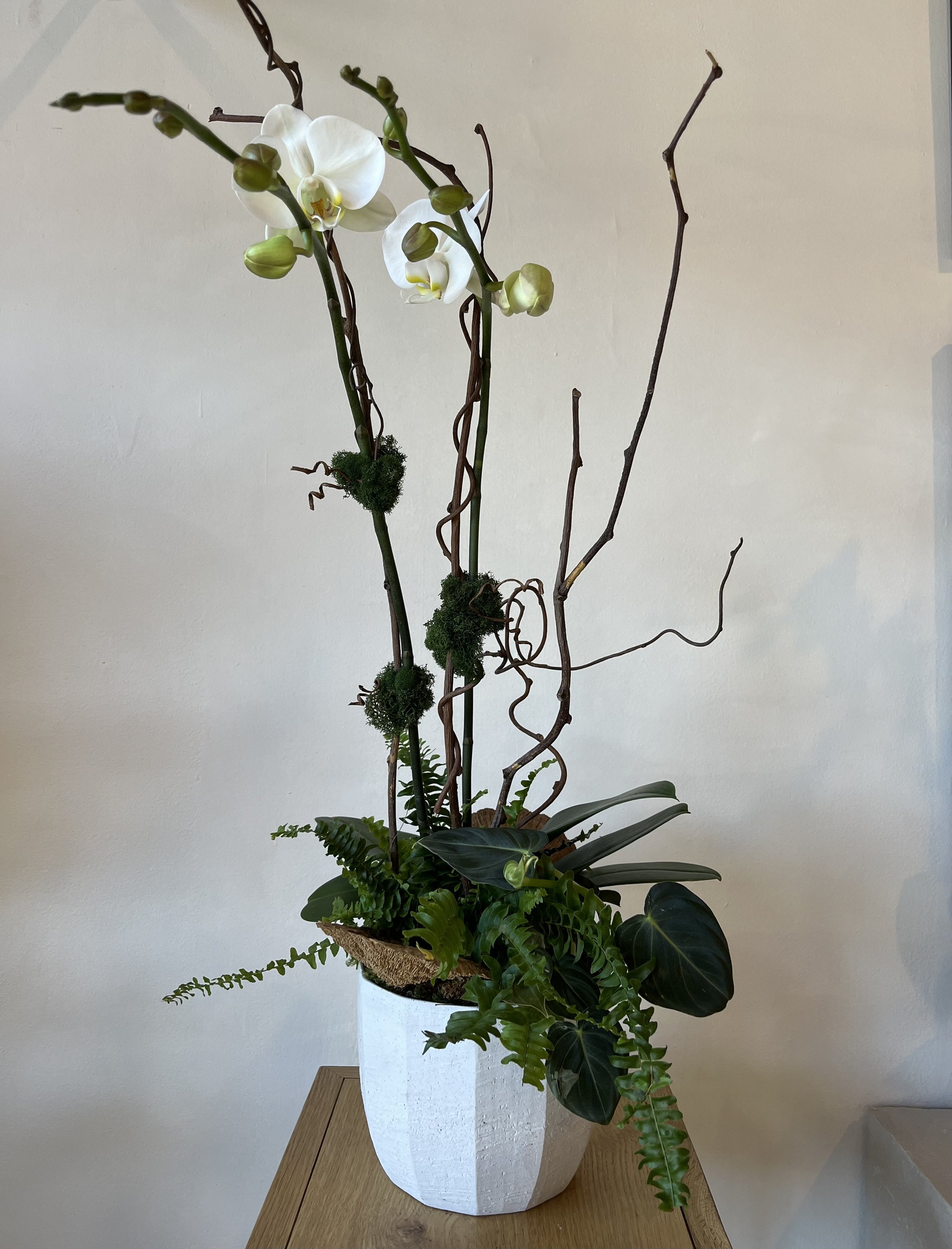 Orchid Composition