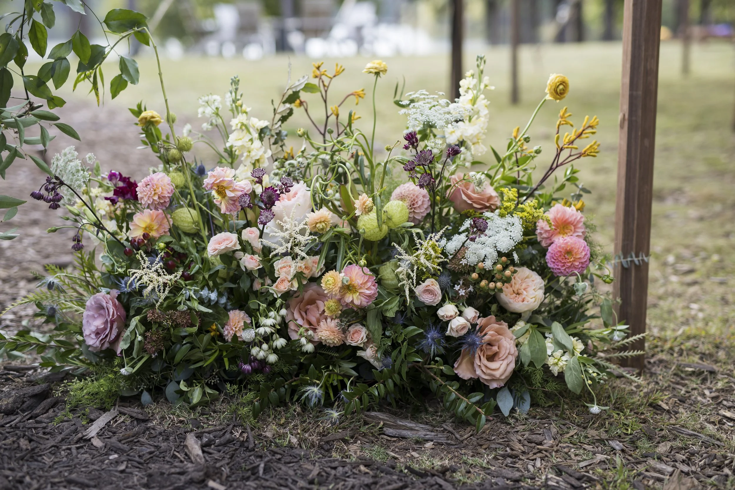 October 04, 2025174633.jpg